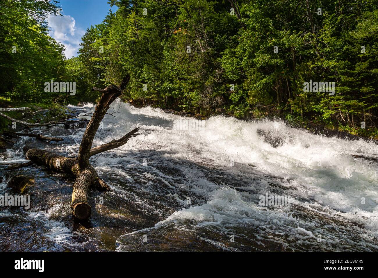 Buttermilk Falls Haliburton County Algonquin Highlands Ontario Canada
