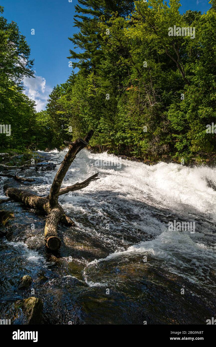 Buttermilk Falls Haliburton County Algonquin Highlands Ontario Canada