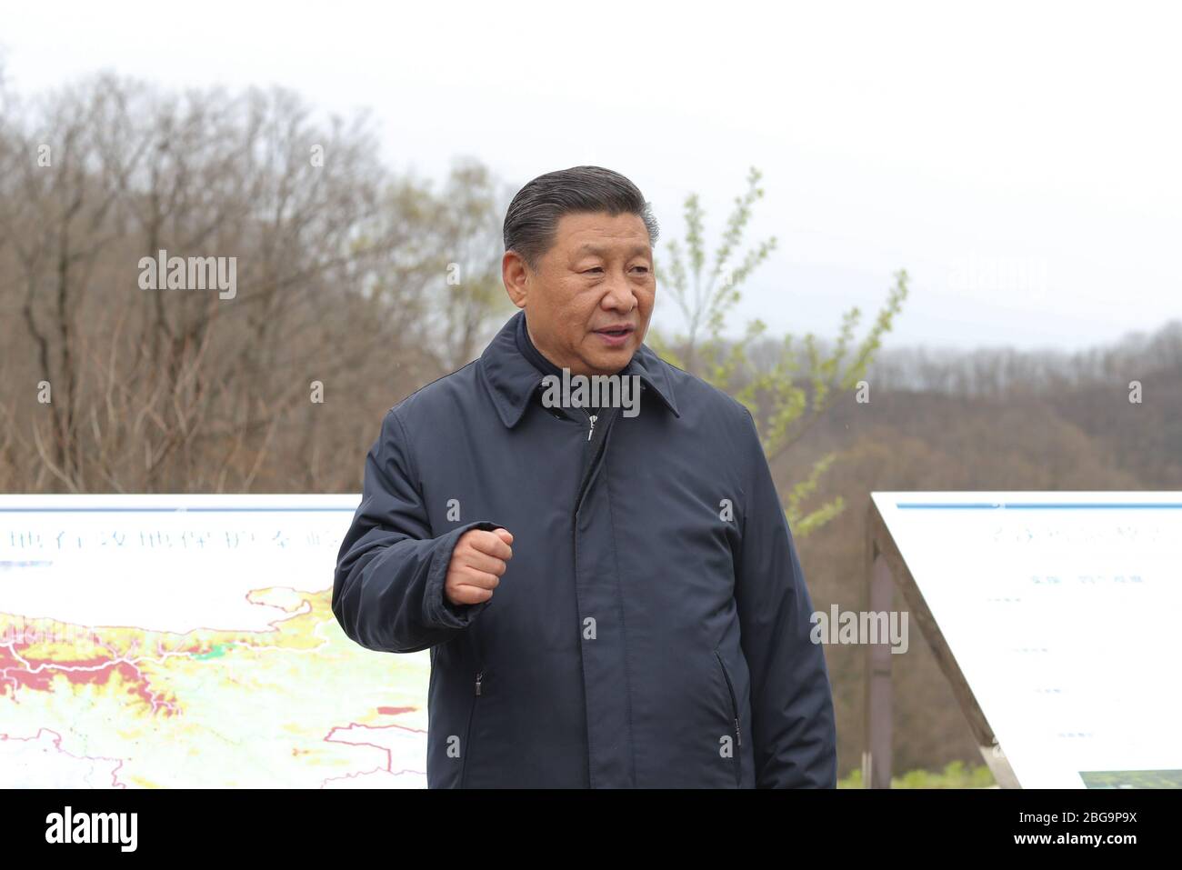 (200421) -- SHANGLUO, April 21, 2020 (Xinhua) -- Chinese President Xi Jinping, also general secretary of the Communist Party of China Central Committee and chairman of the Central Military Commission, visits Niubeiliang National Nature Reserve to learn about ecological conservation in the Qinling Mountains, northwest China's Shaanxi Province, April 20, 2020. Xi Jinping on Monday urged local officials to be guardians of the ecological environment of the Qinling Mountains during his inspection tour in northwest China's Shaanxi Province. 'The illegal construction in the Qinling Mountains is a big Stock Photo