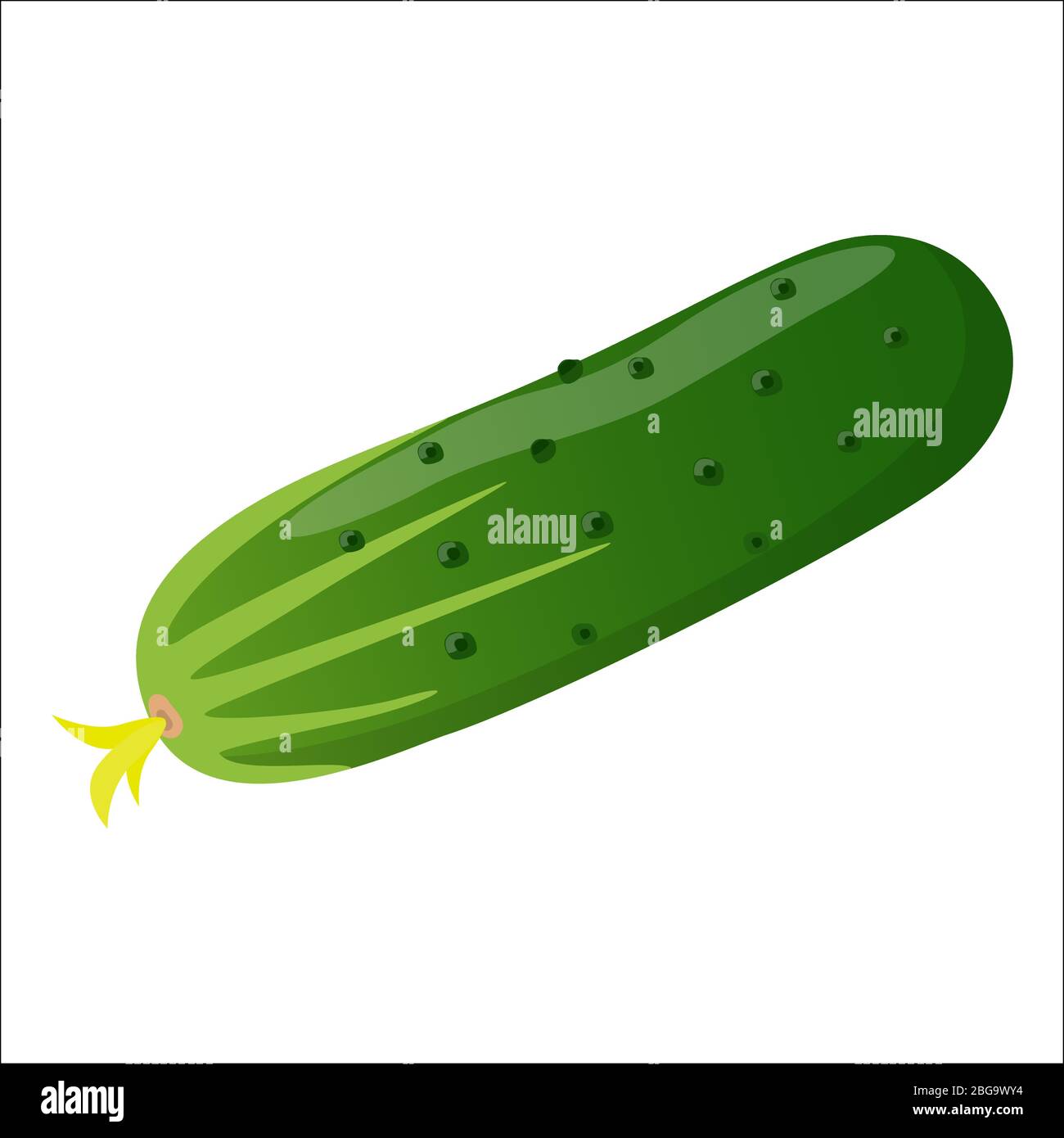 Green fresh cucumber isolated on white background, vector illustration in flat style Stock Vector