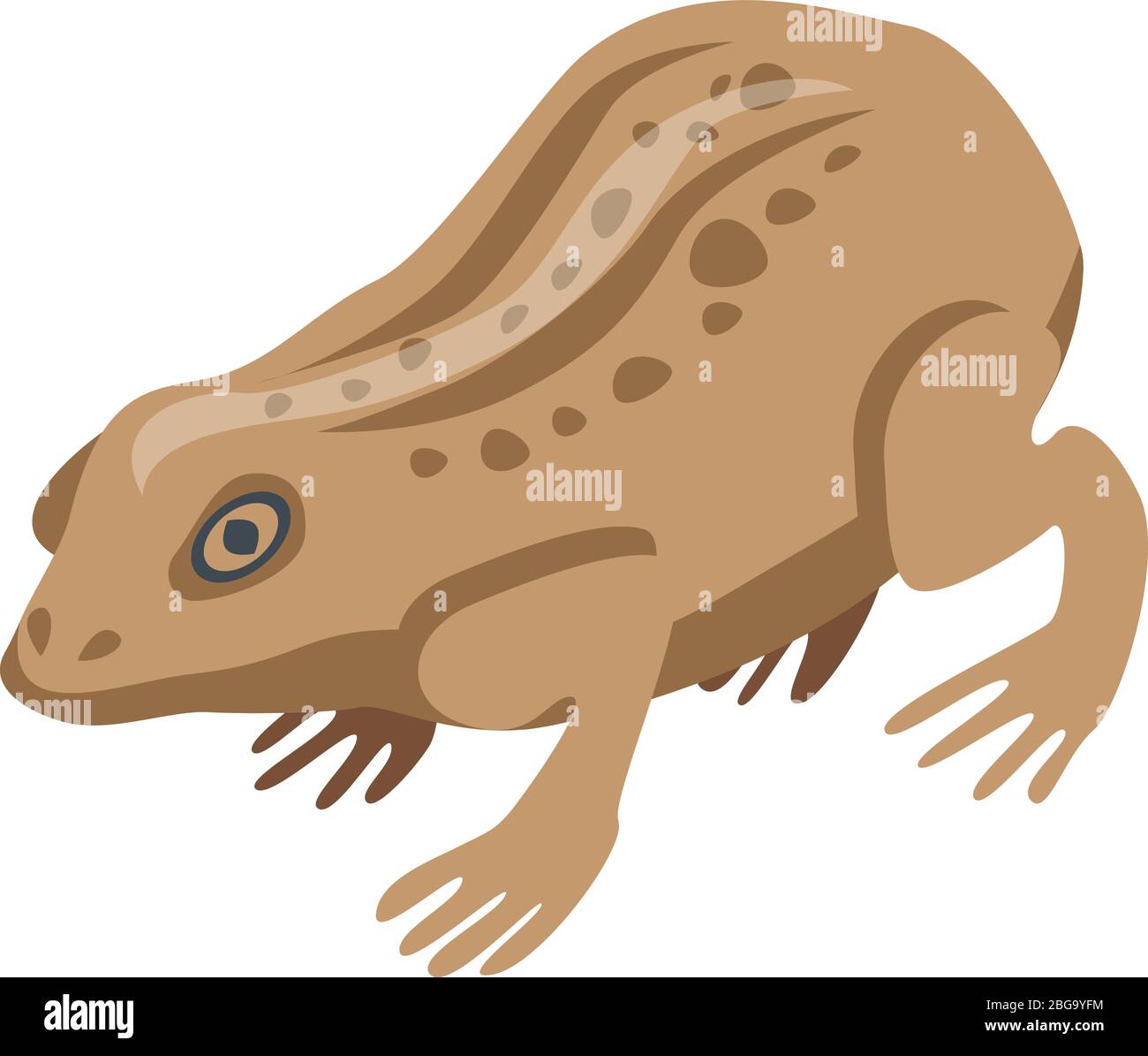 Field frog icon, isometric style Stock Vector