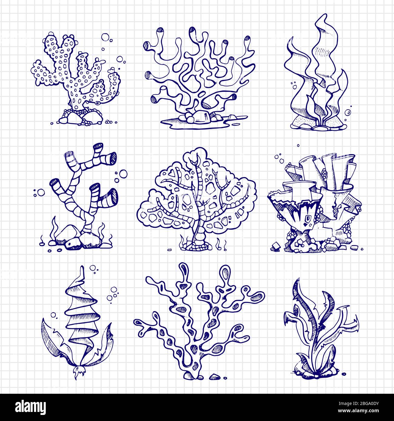 Ballpoint pen drawing seaweeds, corals, underwater plants on notebook page. Vector illustration Stock Vector