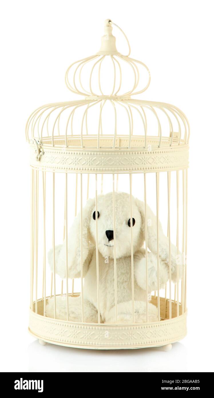 Toy rabbit in decorative cage, isolated on white Stock Photo - Alamy