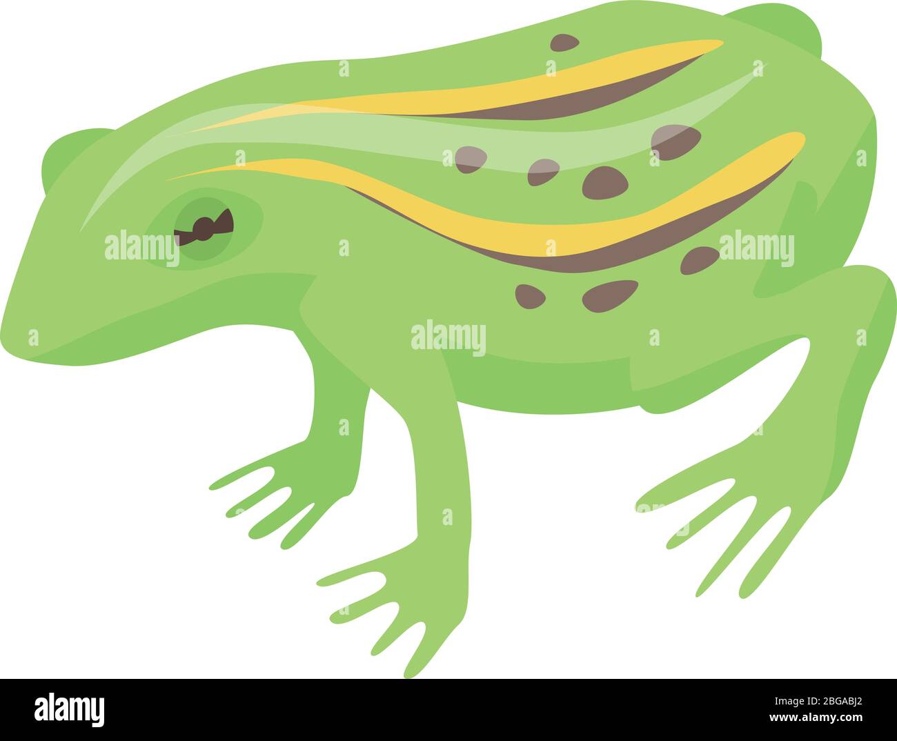 Lake frog icon, isometric style Stock Vector