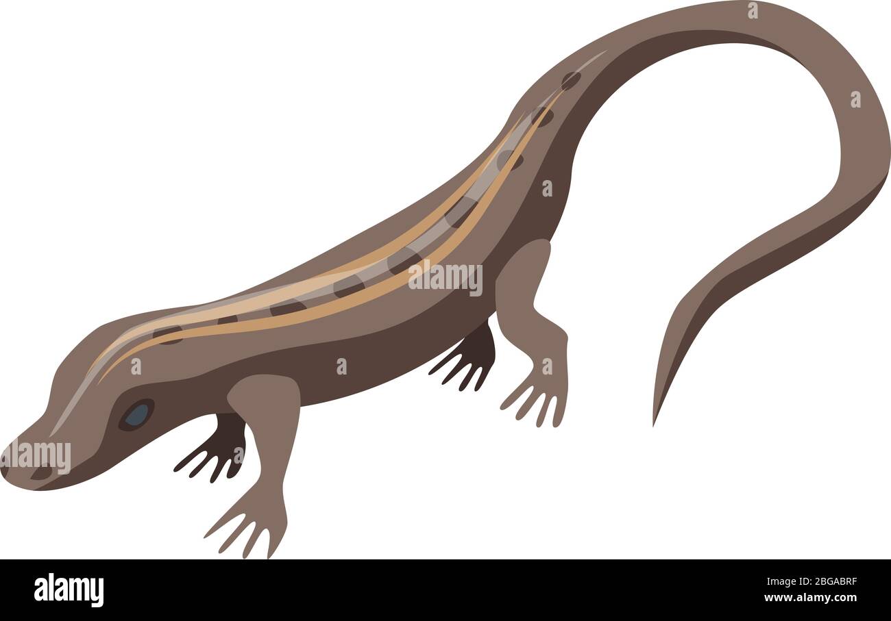 Brown lizard icon, isometric style Stock Vector
