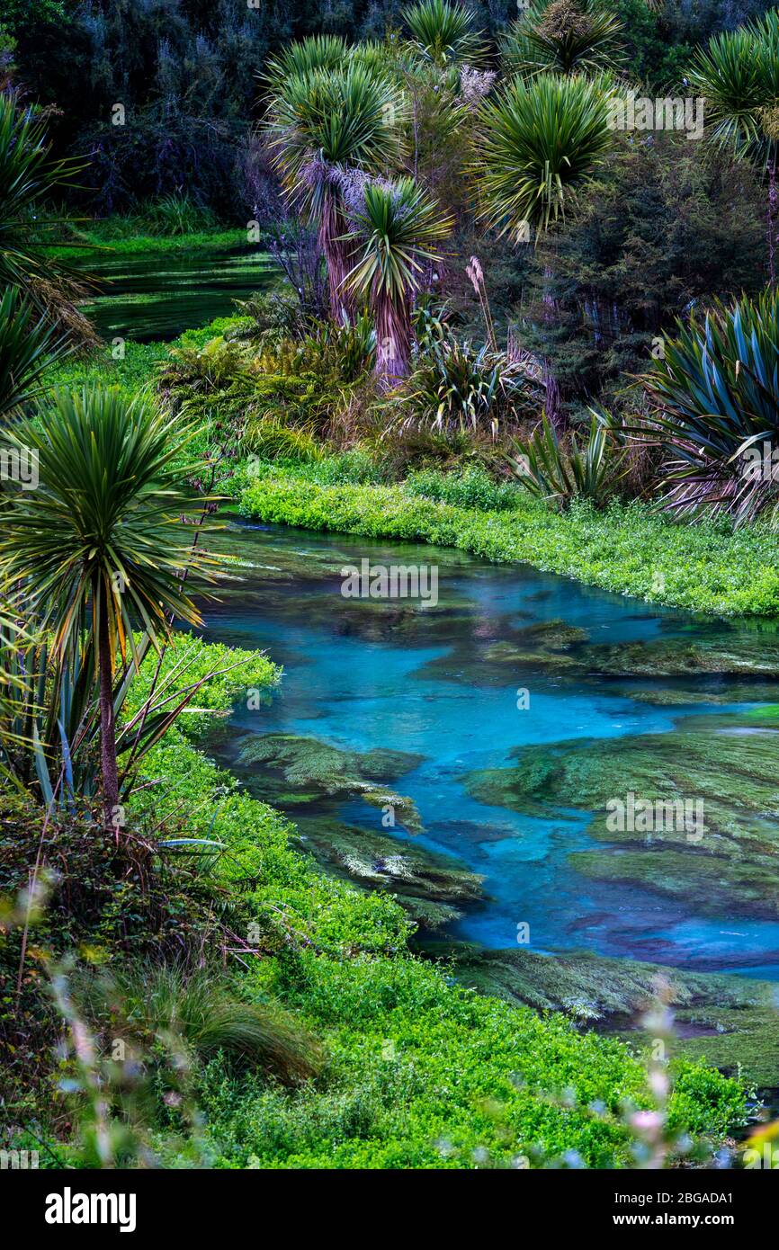 Blue springs putaruru new zealand hires stock photography and images Alamy