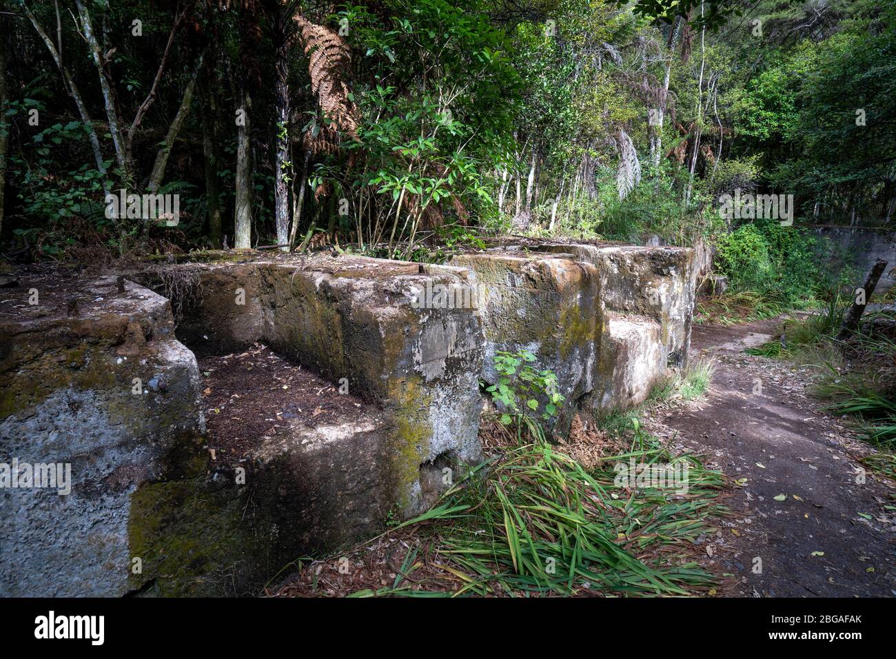 Relics of the gold mining past on the Karangahake Windows Walk, Waikino, North Island New Zealand Stock Photo