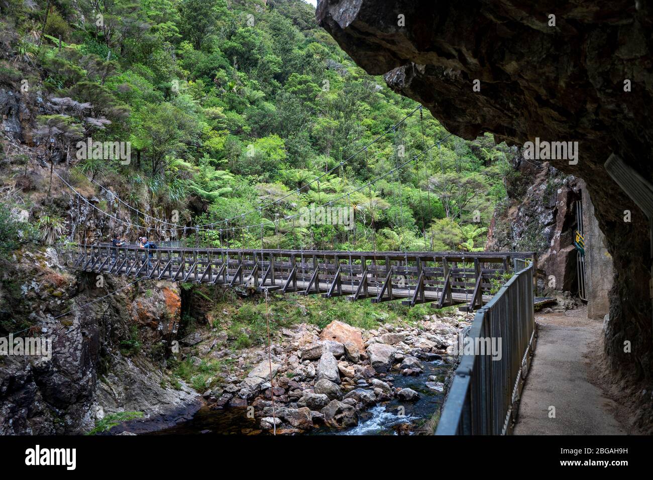 Suspension bridge over mountain stream on the Karangahake Windows Walk, Waikino, North Island New Zealand Stock Photo