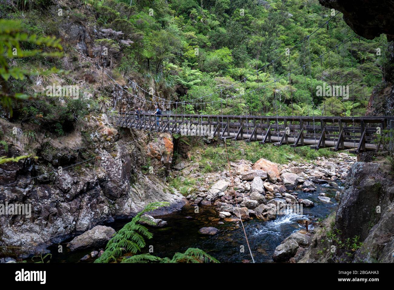 Suspension bridge over mountain stream on the Karangahake Windows Walk, Waikino, North Island New Zealand Stock Photo