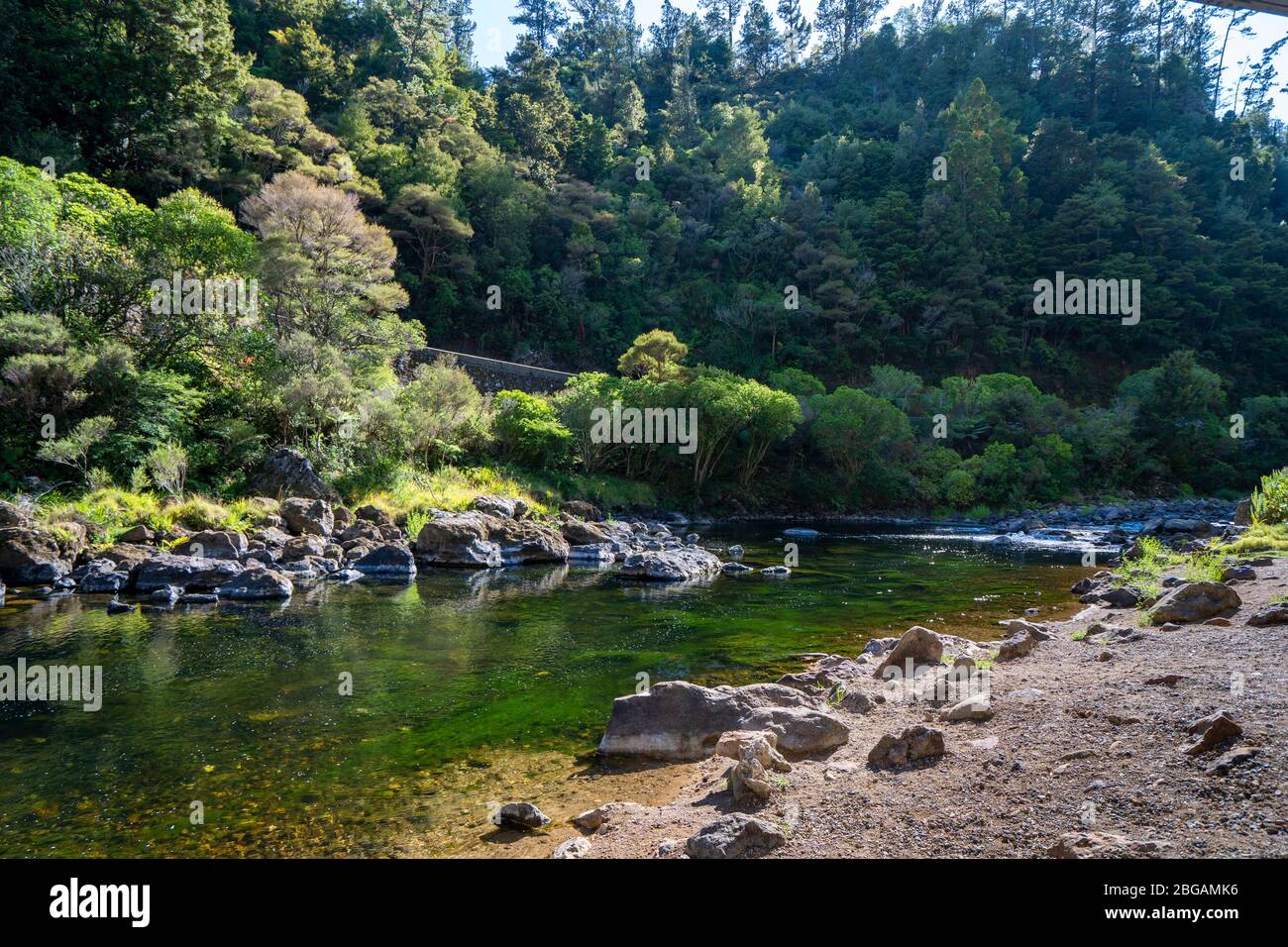 Ohinemuri River, Hauraki Rail Trail, North Island, New Zealand Stock