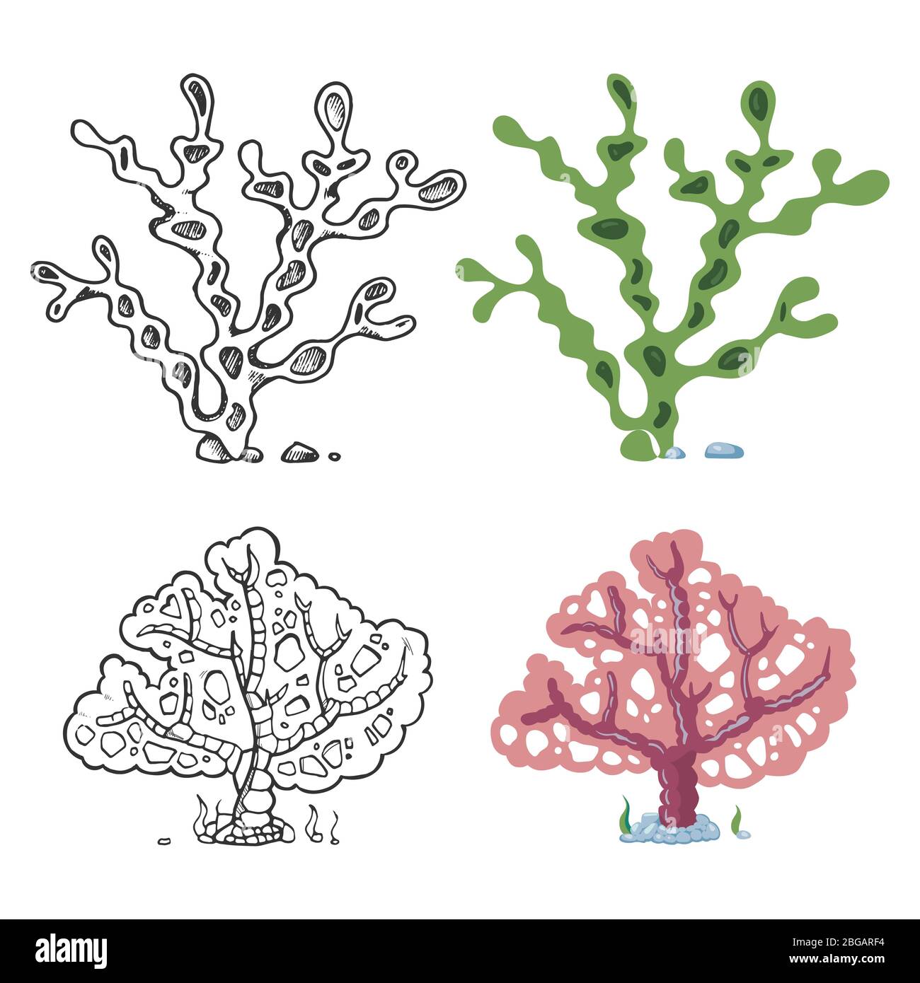 Seaweeds coloring page with bright sample - coral and underwater plant isolated on white background. Vector illustration Stock Vector