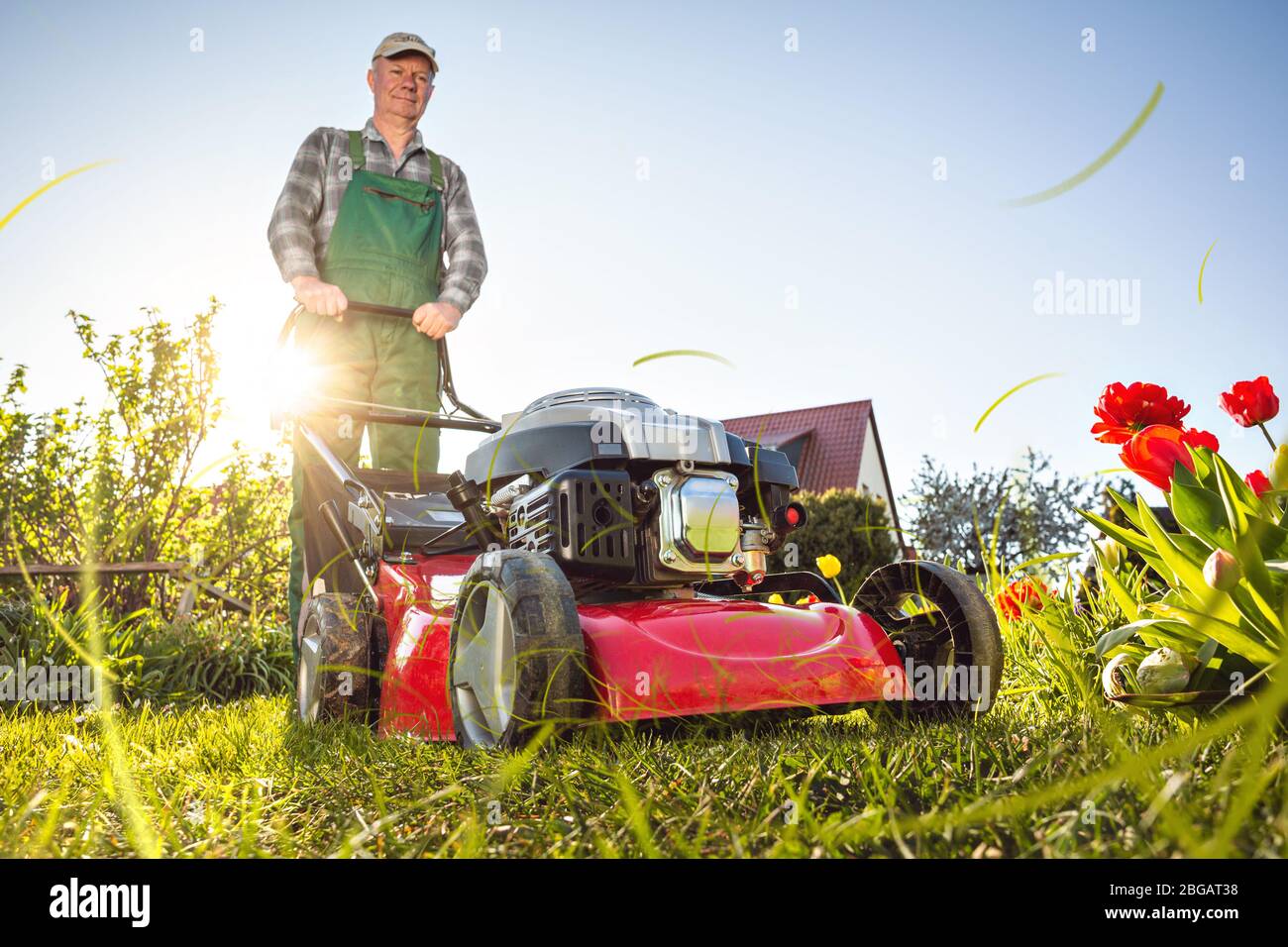 Man with a lawn mower working in his sunny garden Stock Photo