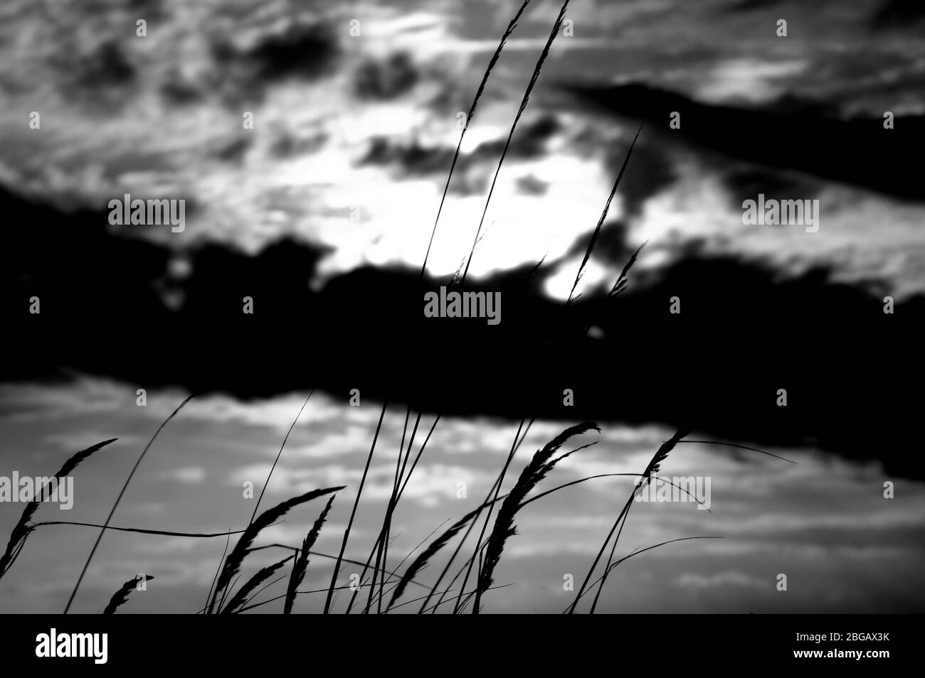 Normandy scenic view Black and White Stock Photos & Images - Alamy