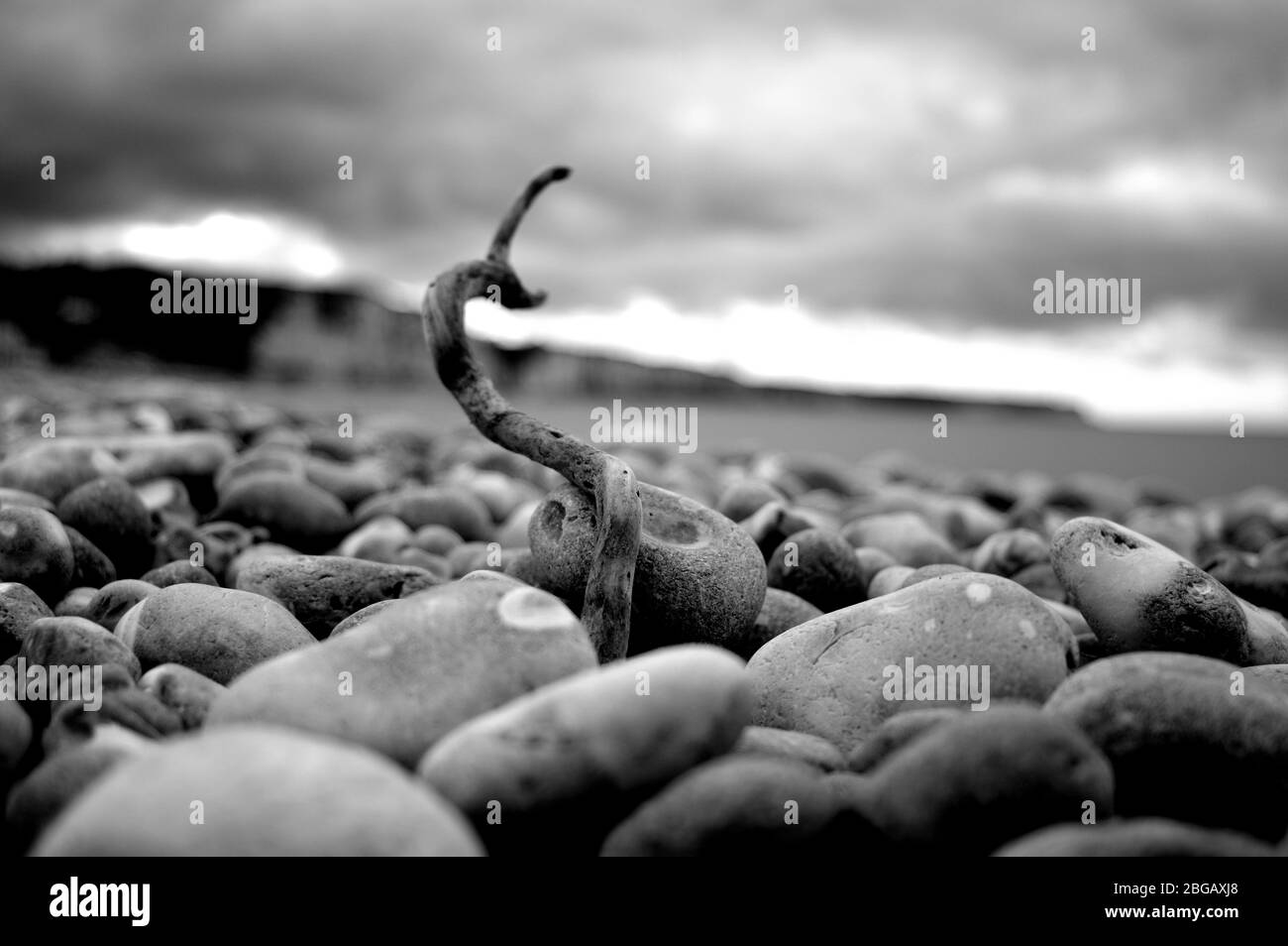 Normandy scenic view Black and White Stock Photos & Images - Alamy
