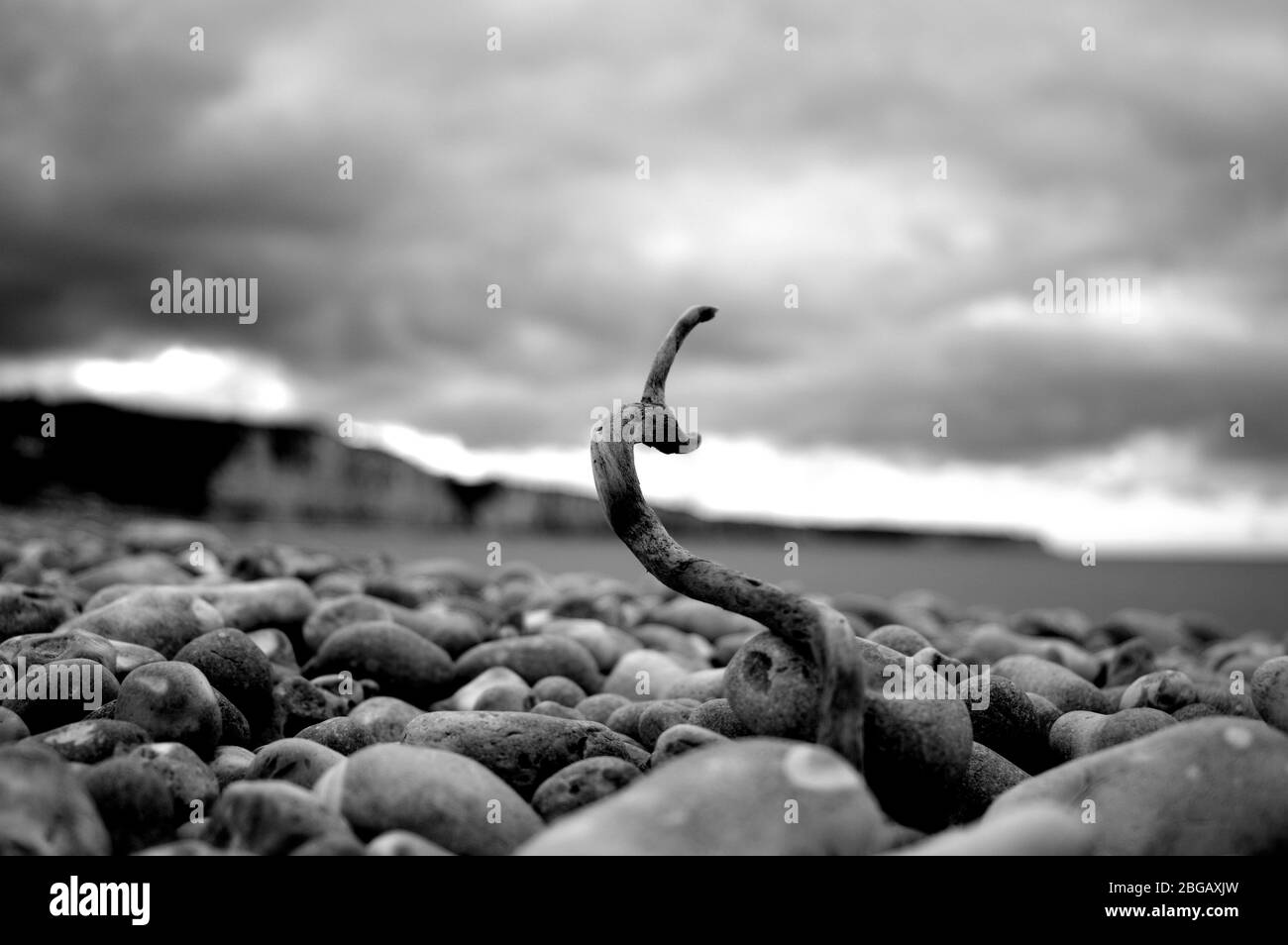 Normandy scenic view Black and White Stock Photos & Images - Alamy