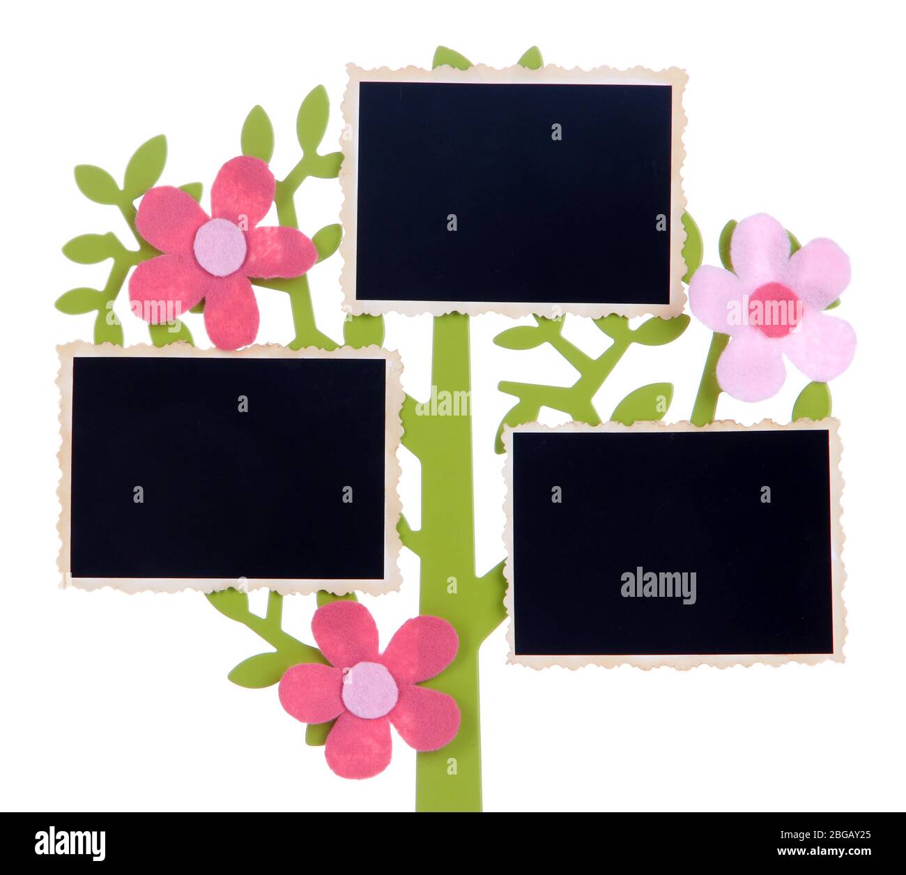 Holder in form of tree with instant photo cards isolated on white Stock ...