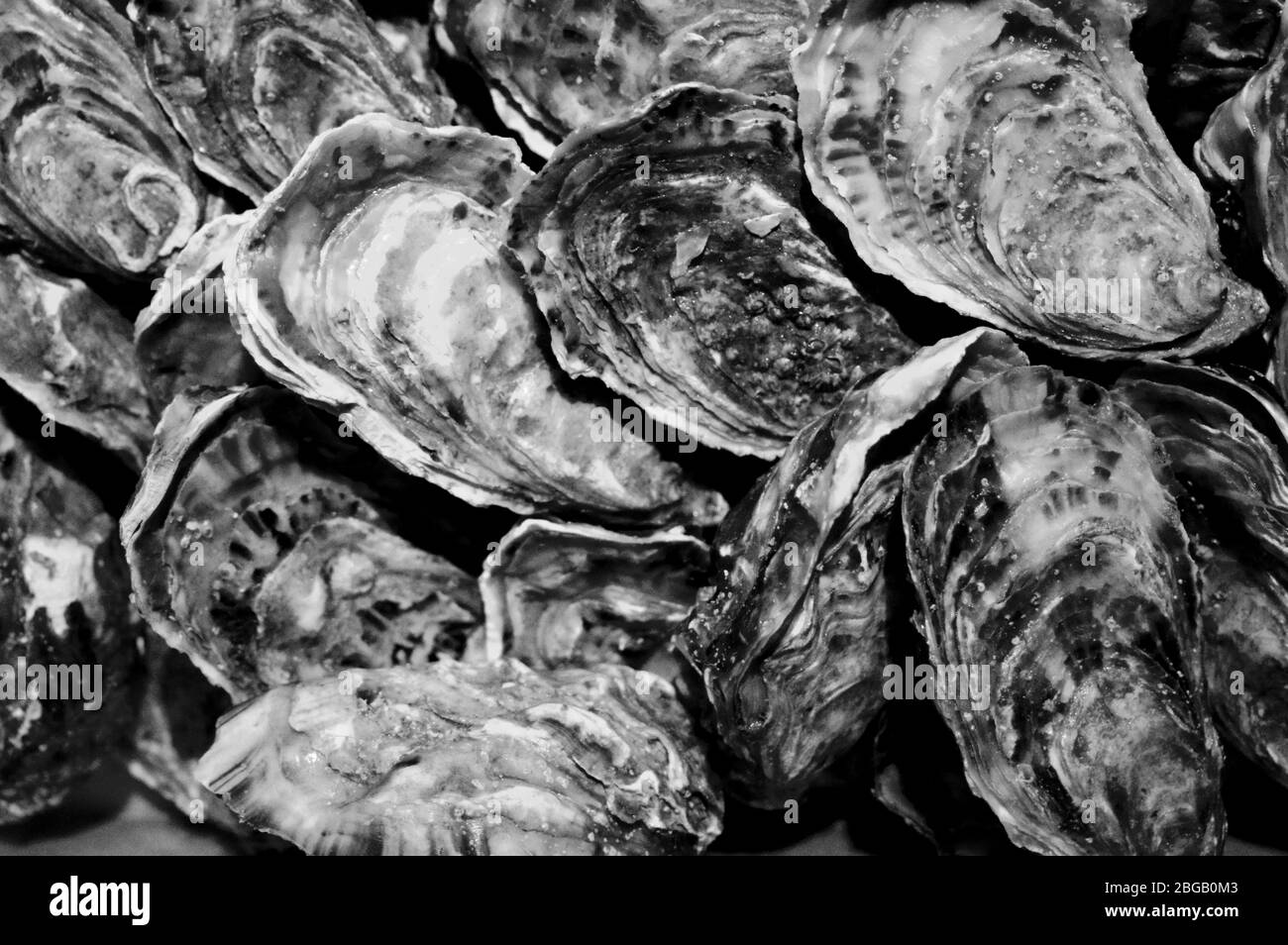 Open oysters with lemon in a white plate Stock Photo