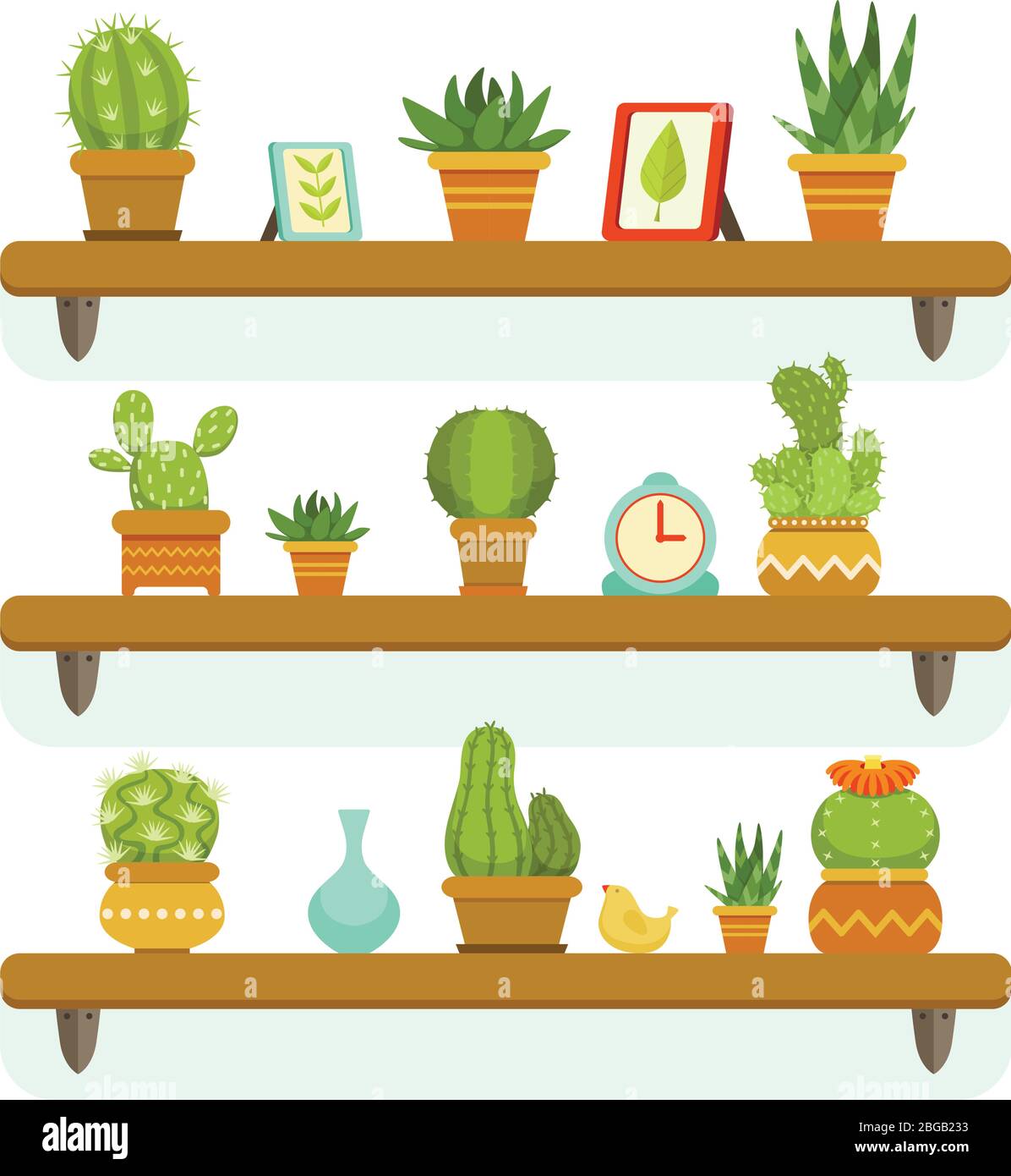 Cactuses in pots stand on the shelves. Decorative plants set isolate on white background. Vector illustrations set Stock Vector