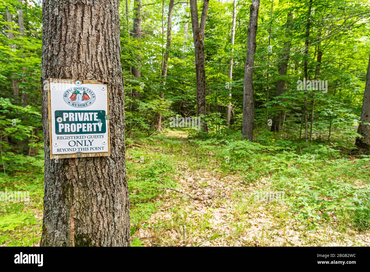Buttermilk Falls Haliburton County Algonquin Highlands Ontario Canada