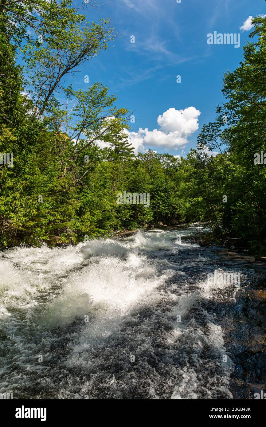 Buttermilk Falls Haliburton County Algonquin Highlands Ontario Canada