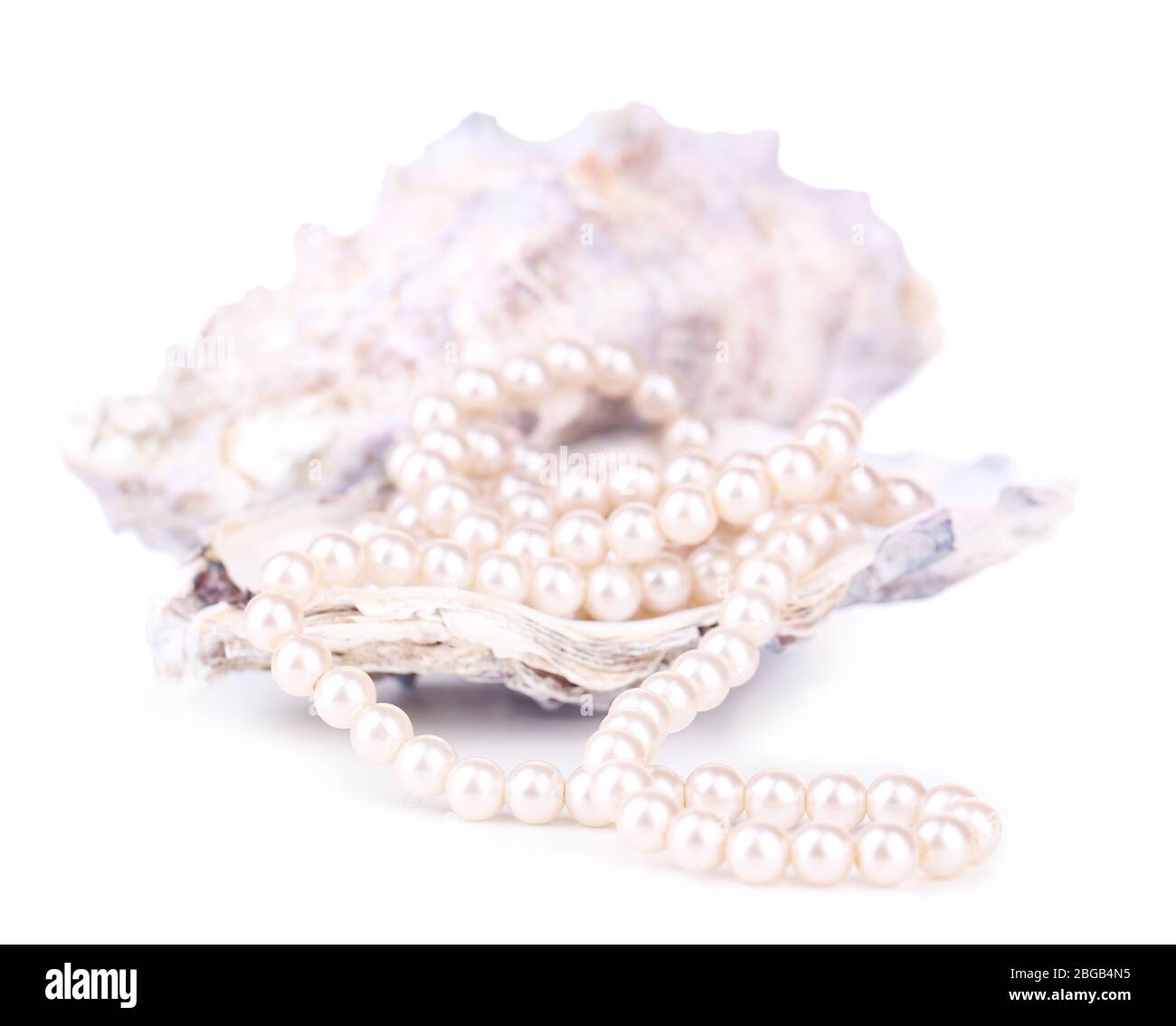 Shell with pearls, isolated on white Stock Photo