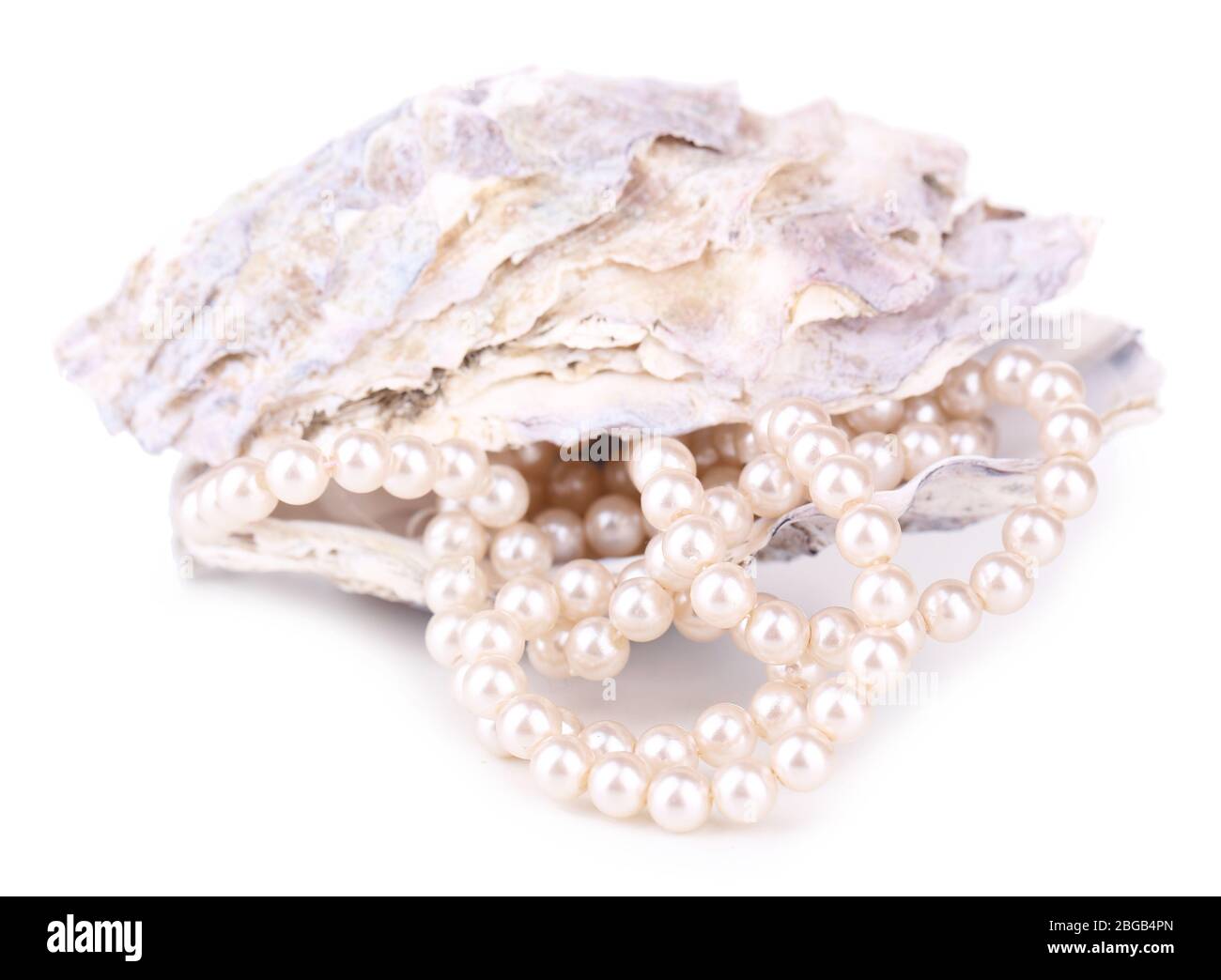 Shell with pearls, isolated on white Stock Photo