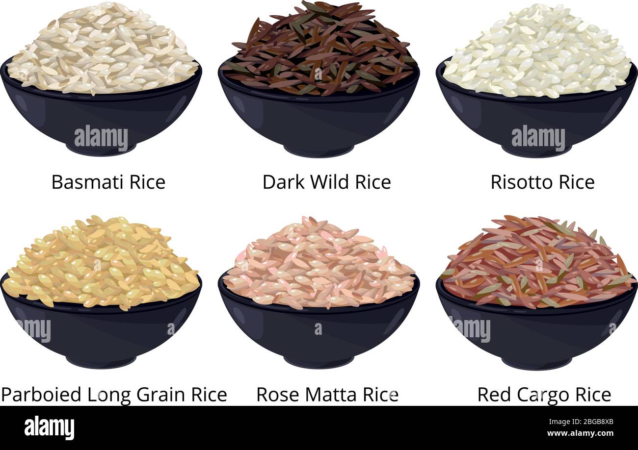 Different type of rice. Long grain, brown, white and other. Vector illustrations in cartoon style Stock Vector