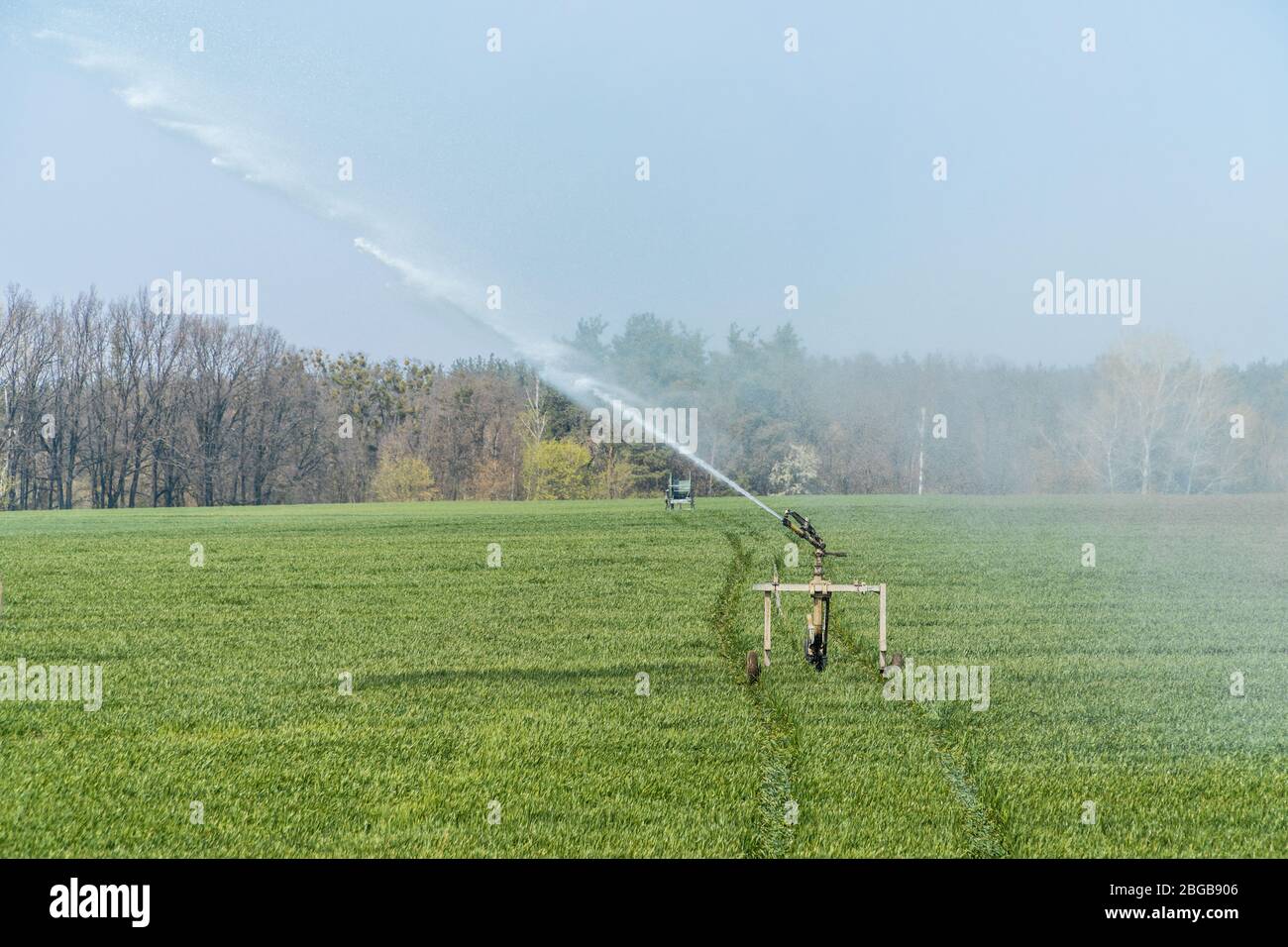 Rollaway automatic sprinkler watering gun irrigating farmer's field in spring season.  Sprinkler irrigation system in agriculture Stock Photo