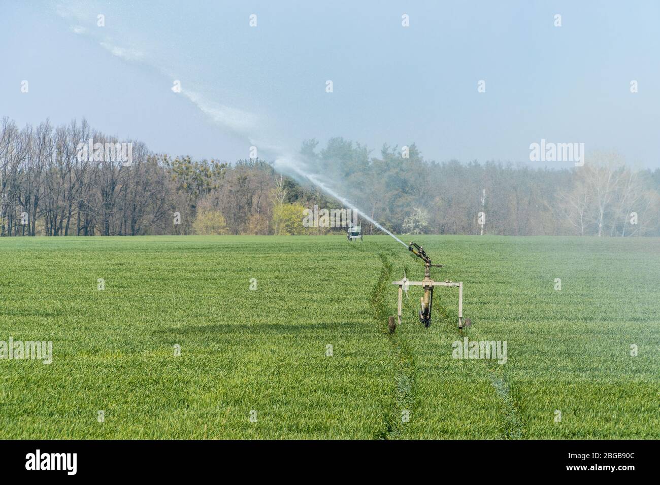 Rollaway automatic sprinkler watering gun irrigating farmer's field in spring season.  Sprinkler irrigation system in agriculture Stock Photo