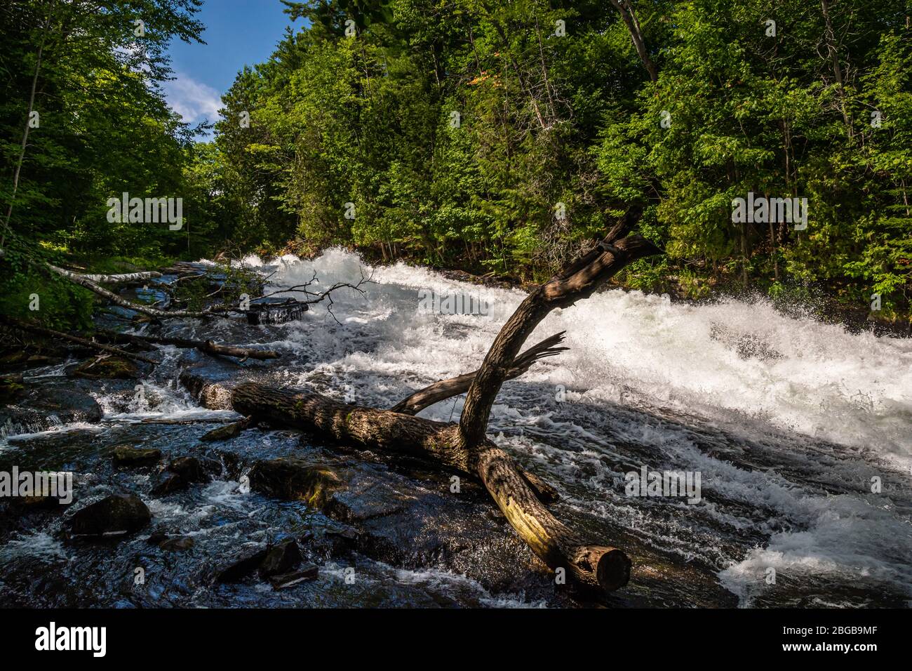Buttermilk Falls Haliburton County Algonquin Highlands Ontario Canada
