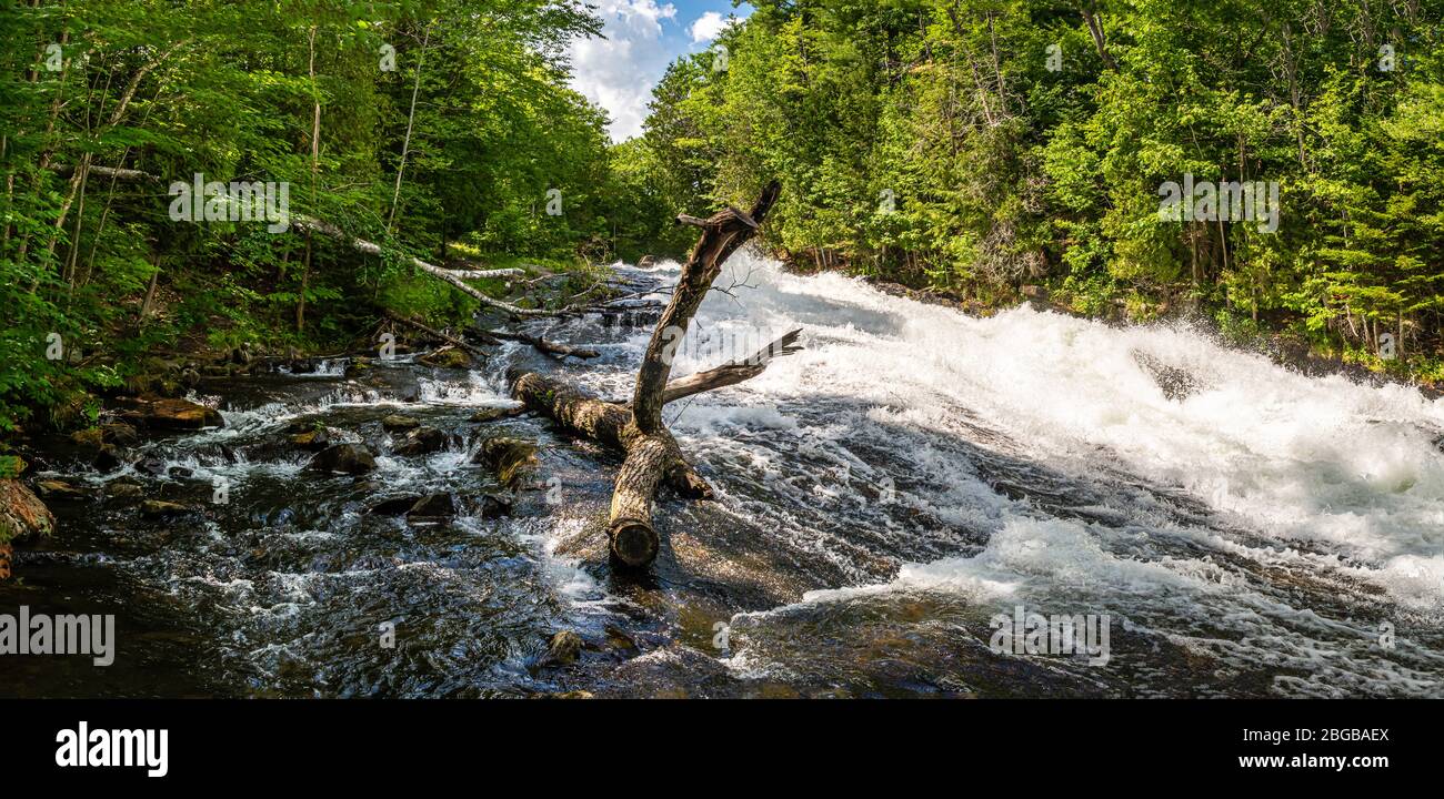 Buttermilk Falls Haliburton County Algonquin Highlands Ontario Canada