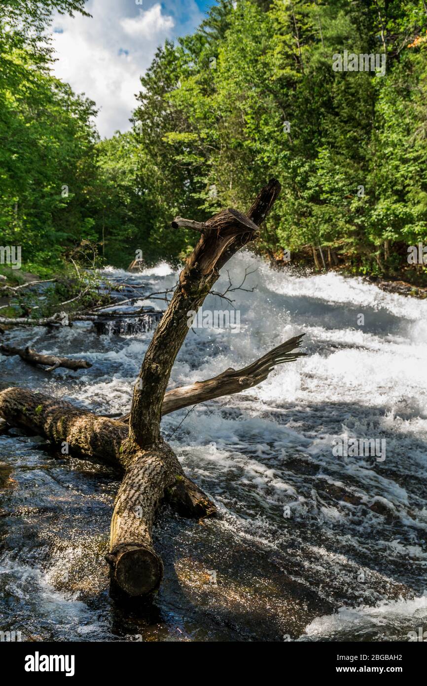 Buttermilk Falls Haliburton County Algonquin Highlands Ontario Canada