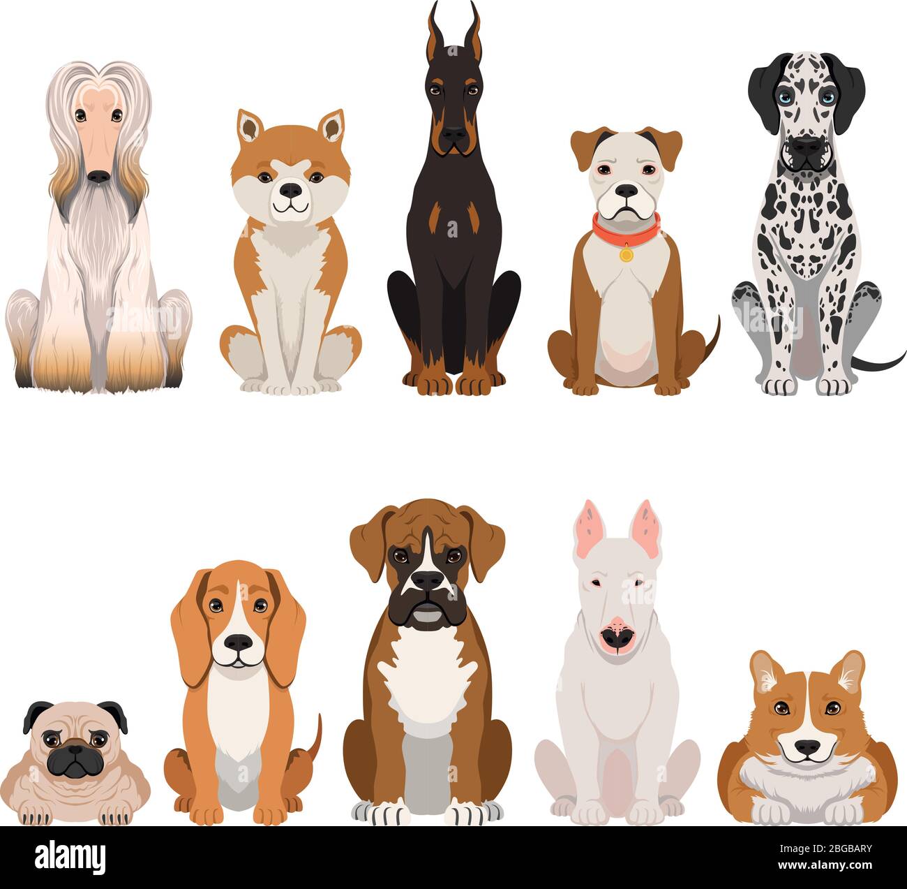 Funny dogs illustrations in cartoon style. Domestic pets Stock Vector