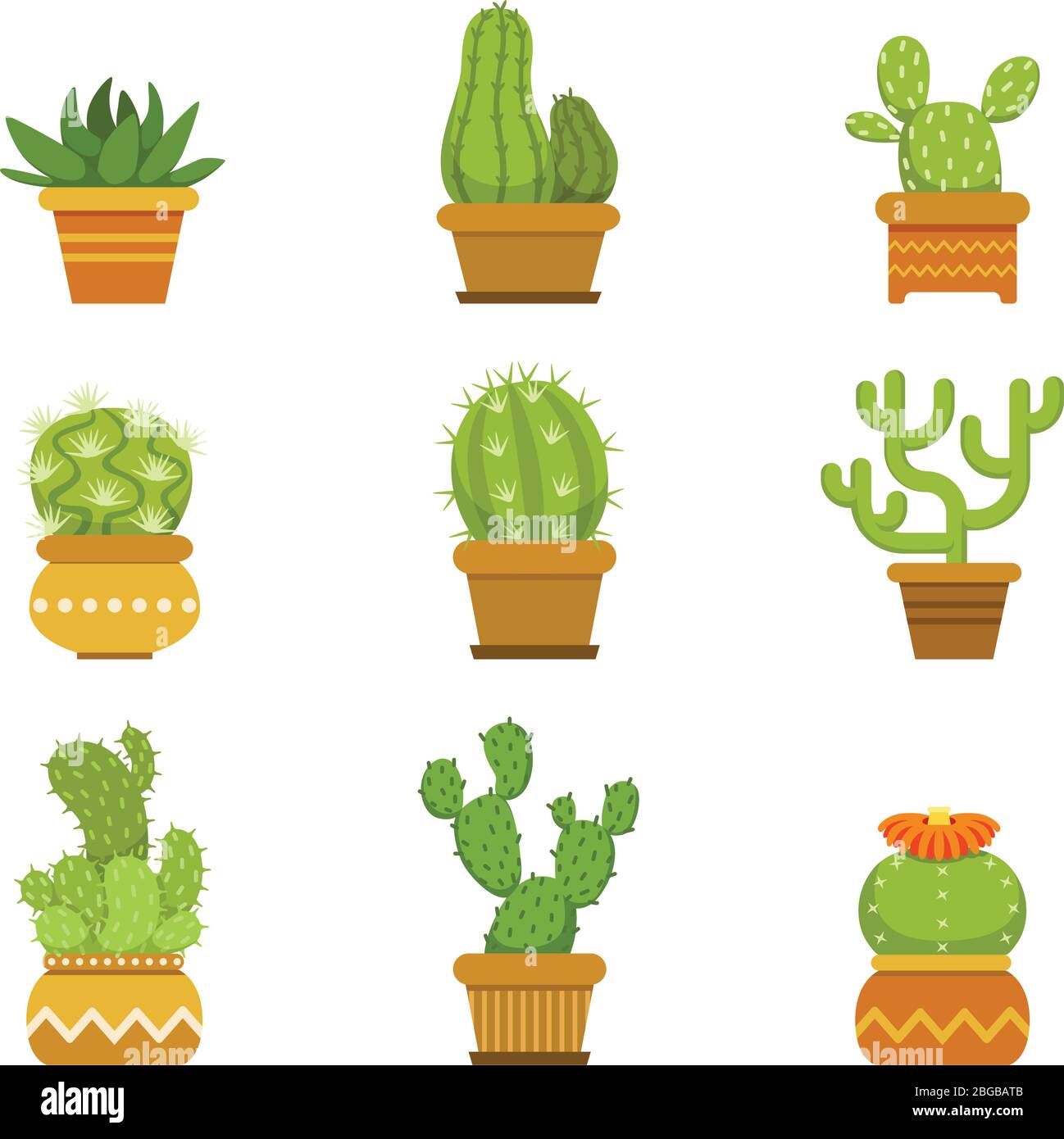 Botany decorative plants in pots. Cactus with flowers isolate on white background. Vector illustrations Stock Vector