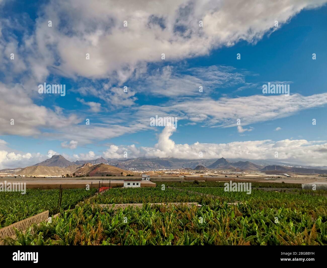 beautiful view of el teide Vulcan in Tenerife with banana green plantation - farmer and natural lifestyle in environment concept Stock Photo