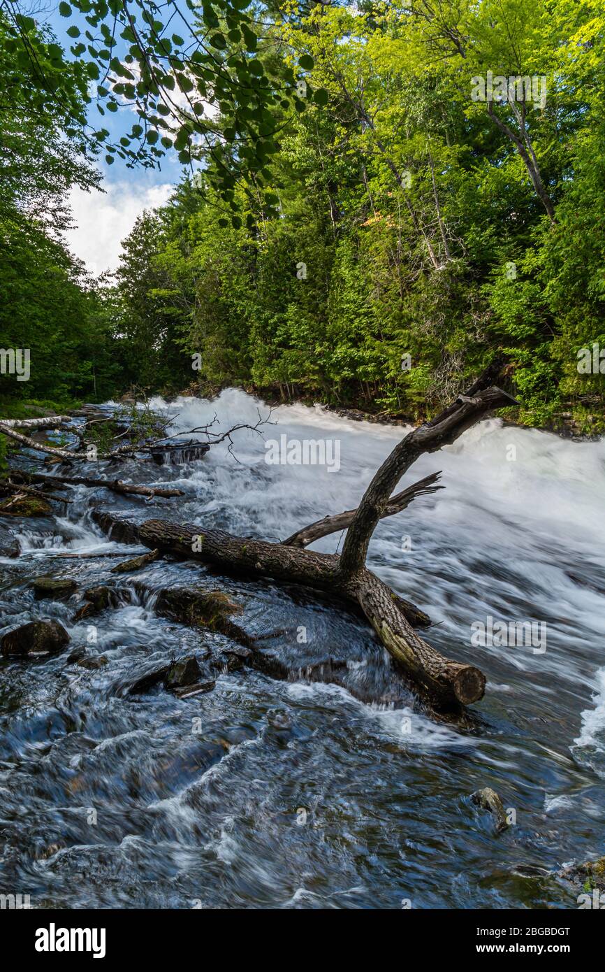 Buttermilk Falls Haliburton County Algonquin Highlands Ontario Canada