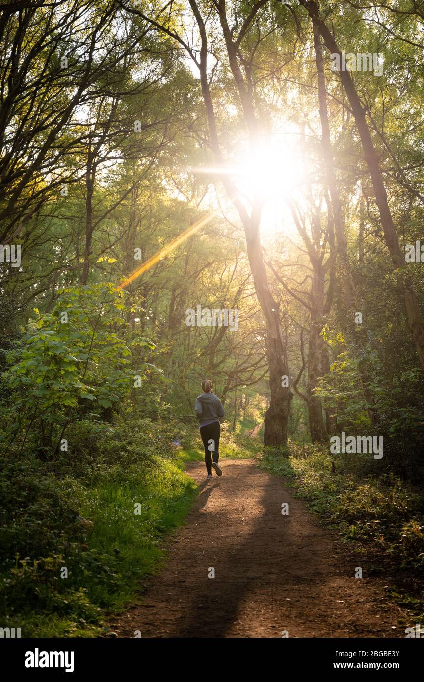 Oxford, UK. 21st Apr, 2020. A woman jogs alone in the woods on a bright, sunny morning in Shotover Country Park. Credit: Andrew Walmsley/Alamy Live News Stock Photo
