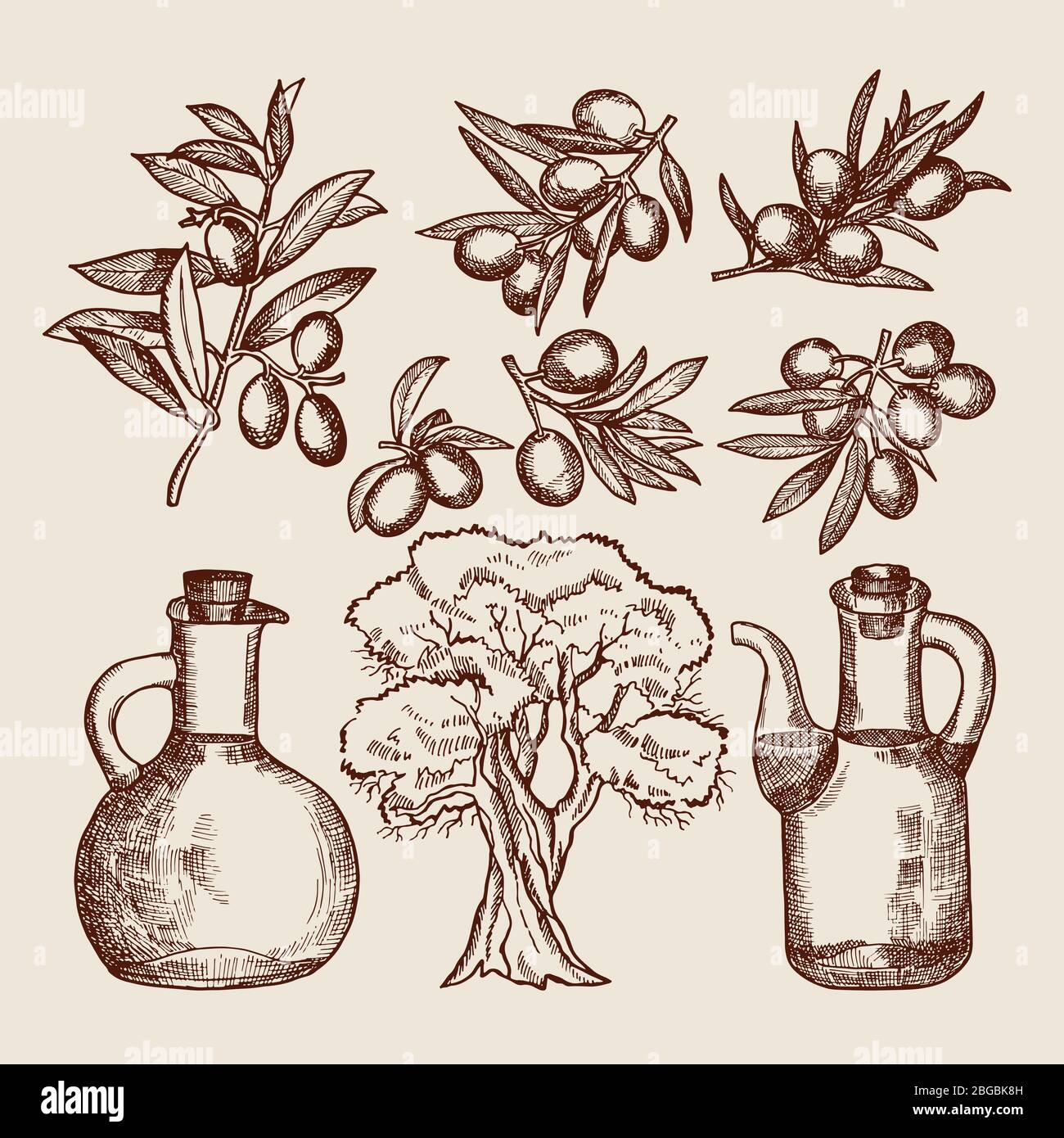 Olive oil in bottling. Olive tree and other hand drawn foods Stock
