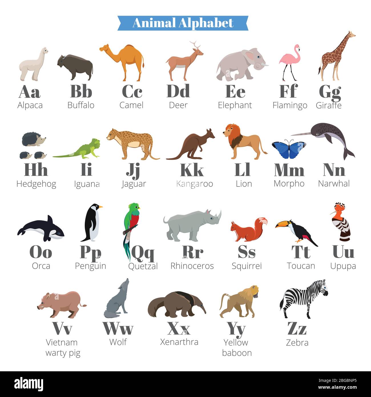 English vector alphabet for kids with cute wild animals near letters Stock  Vector Image & Art - Alamy