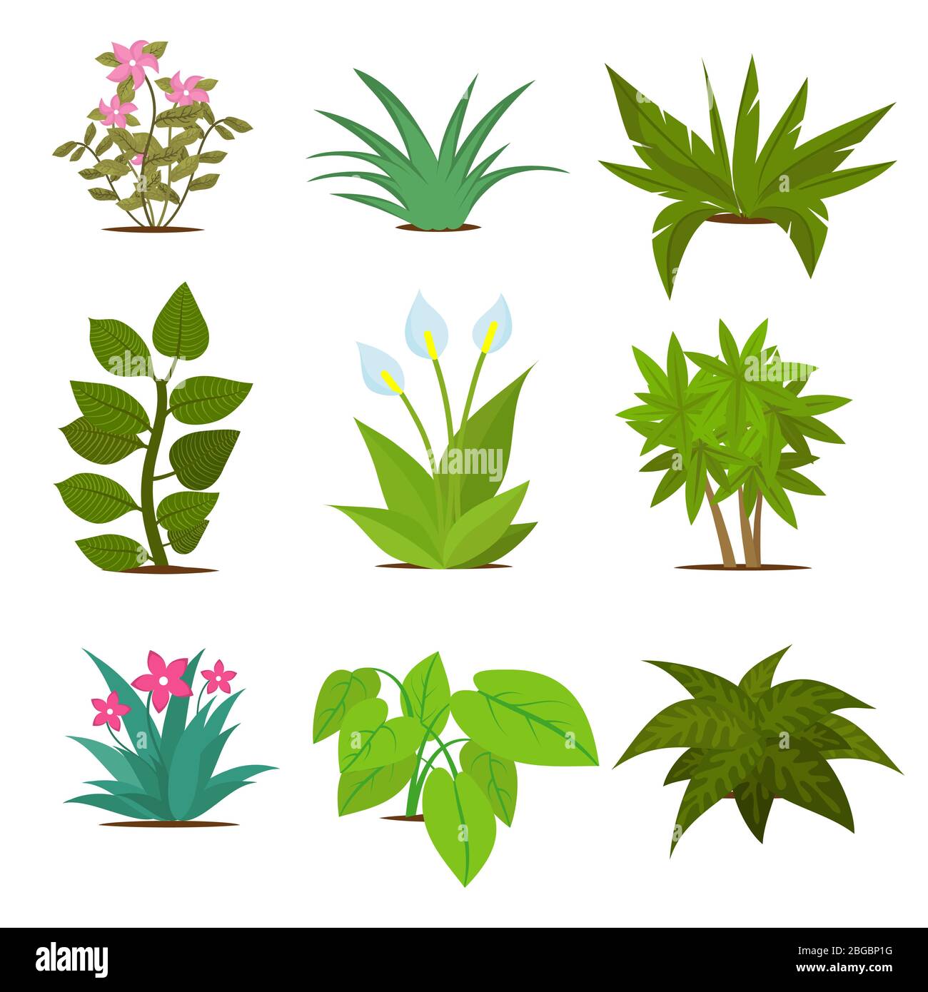 Colorful house plants isolated on white background. Plant green, vector flora houseplant and flower illustration Stock Vector