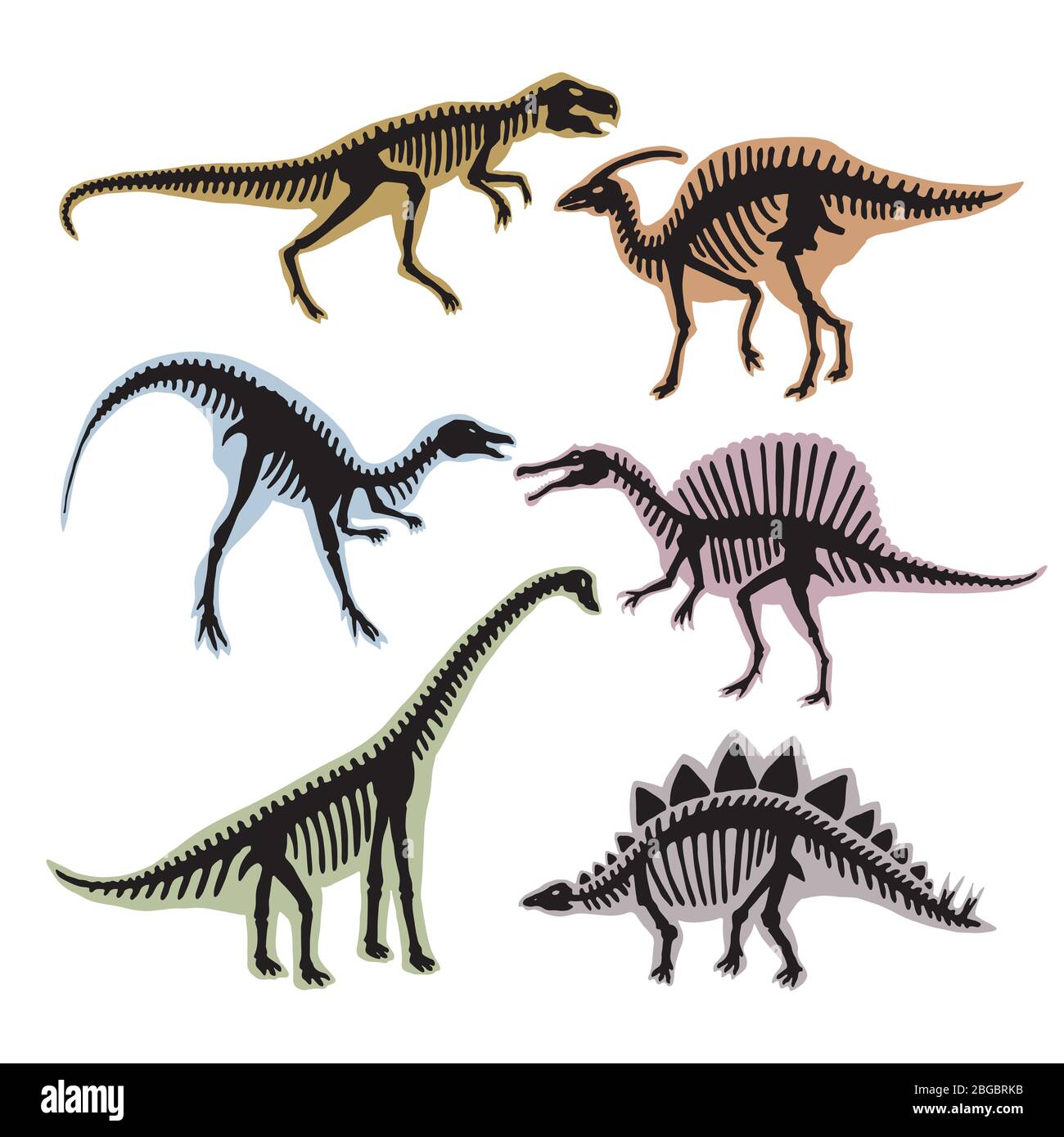 Skeleton of dinosaurs. Vector silhouette of tyrannosaurus, diplodocus and others wild animals Stock Vector