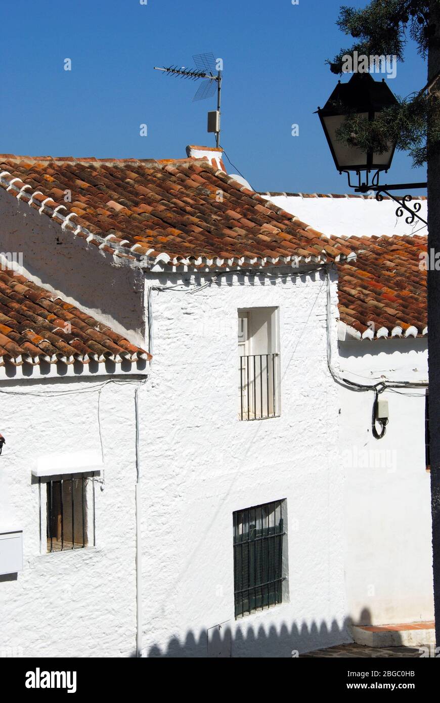 Townhouses, whitewashed village (pueblo blanco), Macharaviaya, Costa del Sol, Malaga Province, Andalucia, Spain. Stock Photo