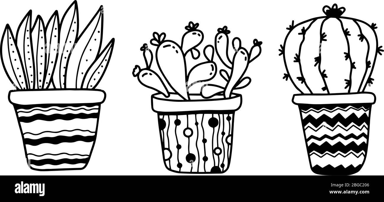 Featured image of post Cartoon Plant Pot Outline Find download free graphic resources for pot plant outline