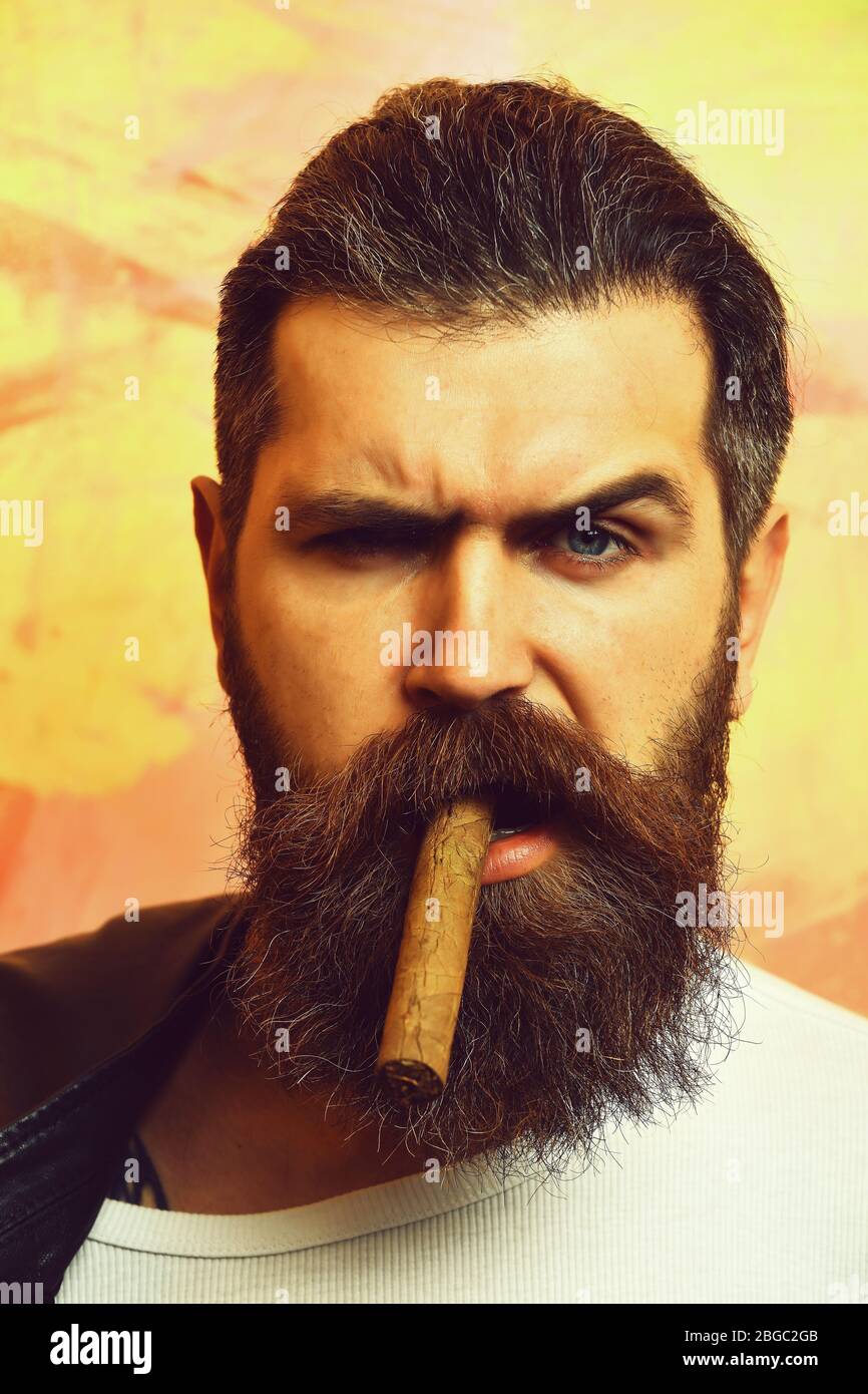 Bearded Man Long Beard Brutal Caucasian Serious Unshaven Hipster Smoking Cigar With Black 7631