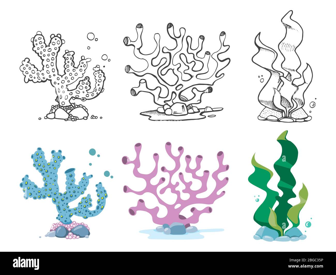 Vintage and colorful corals, seaweeds and underwater wildlife plants set. Vector illustration Stock Vector