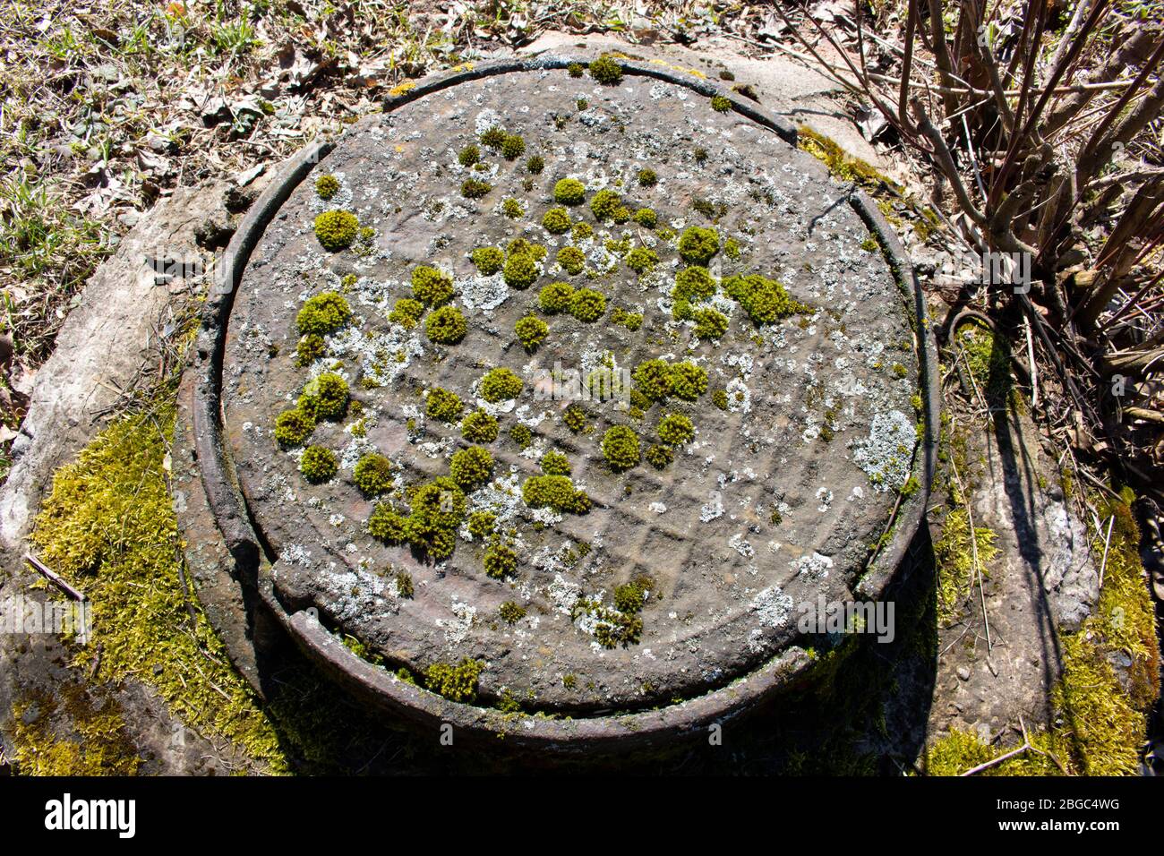 old sewer manhole covered in moss on the green lawn Stock Photo