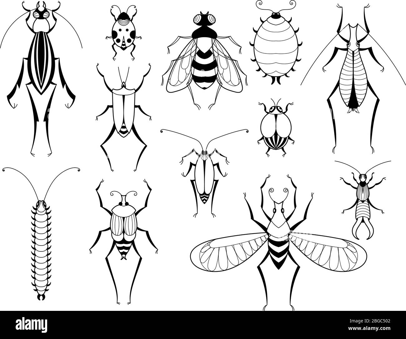 Different insects with patterns on wings. Butterflies and bugs set. Vector biology illustrations Stock Vector