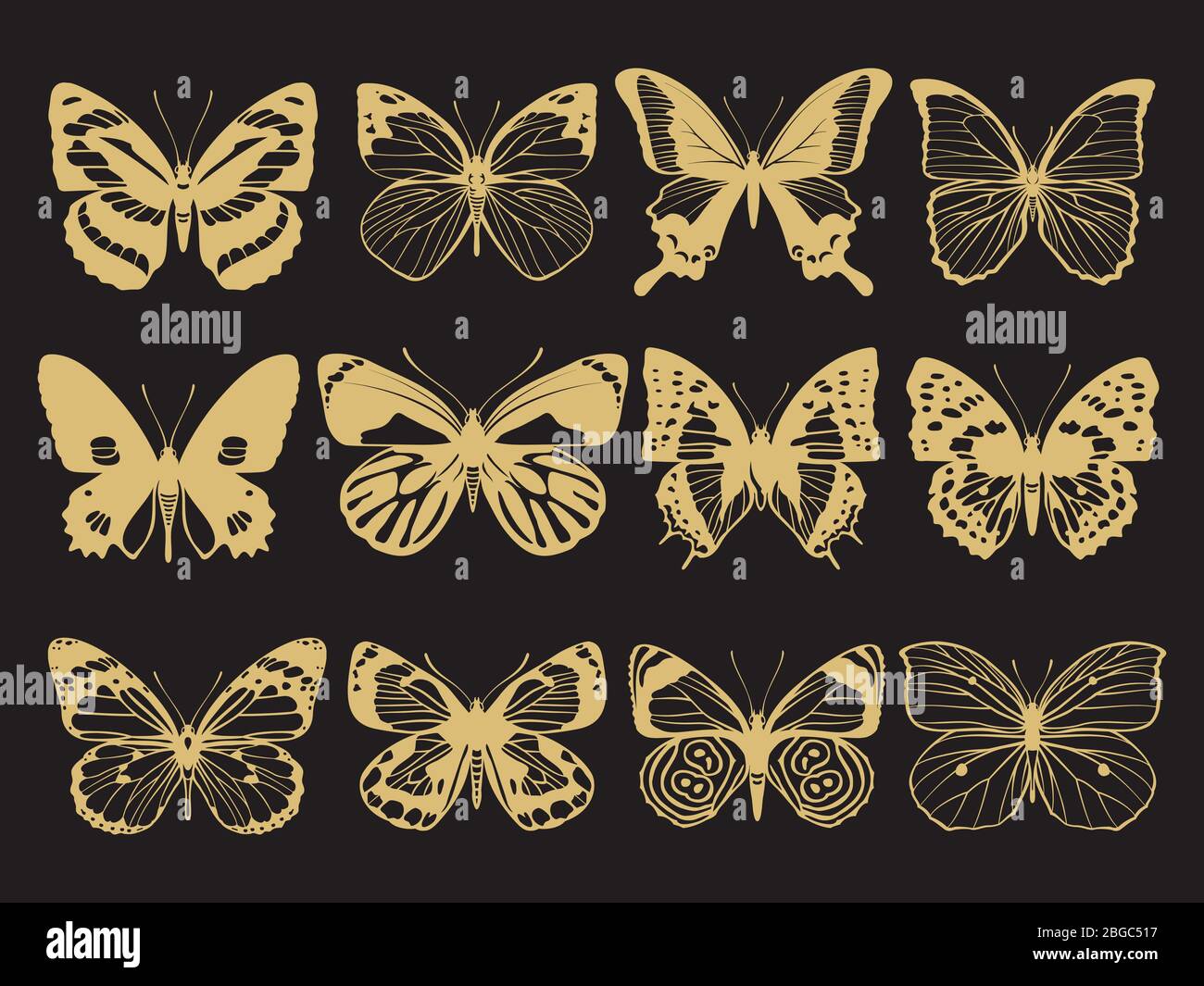 Golden Butterflies Decoration Of Collection On Black Background Vector Illustration Stock Vector Image Art Alamy Golden Butterflies Decoration Of Collection On Black Background Vector Illustration Stock Vector Image Art Alamy