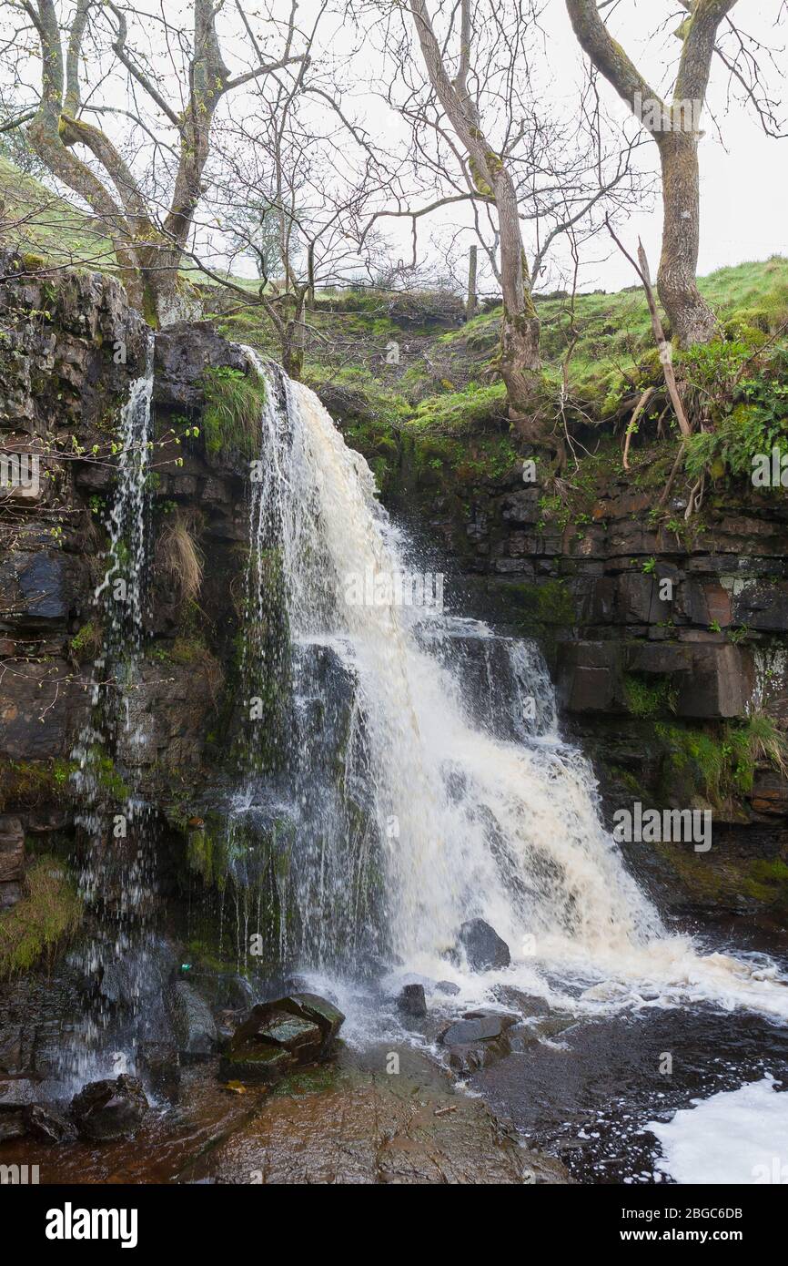 East Gill Force below Keld, Swaledale: a waterfall in the Yorkshire Dales National Park, North Yorkshire, England, UK Stock Photo
