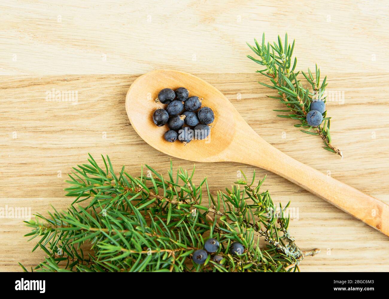 Flat lay view Juniper latin Juniperus communis berries on wooden spoon, juniper tree branch with confier cones and berries scattered around. Stock Photo